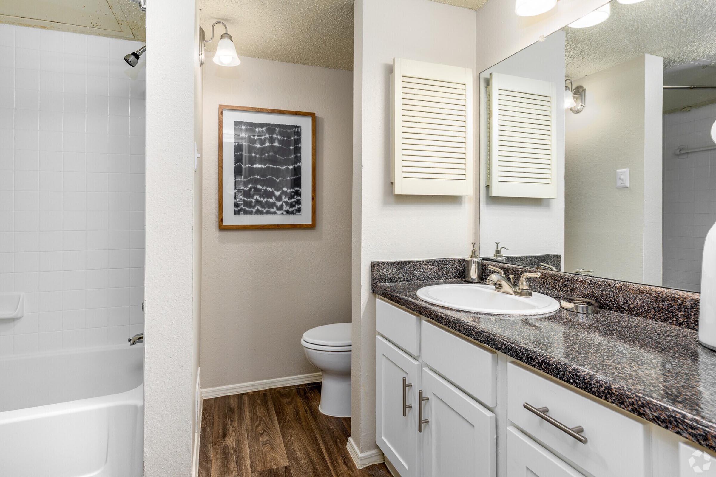 A well-lit bathroom featuring a modern design. It includes a bathtub with a shower, a toilet, and a double sink vanity with a granite countertop. There is a framed abstract artwork on the wall and light fixtures above the mirror, with light-colored walls and wooden flooring.