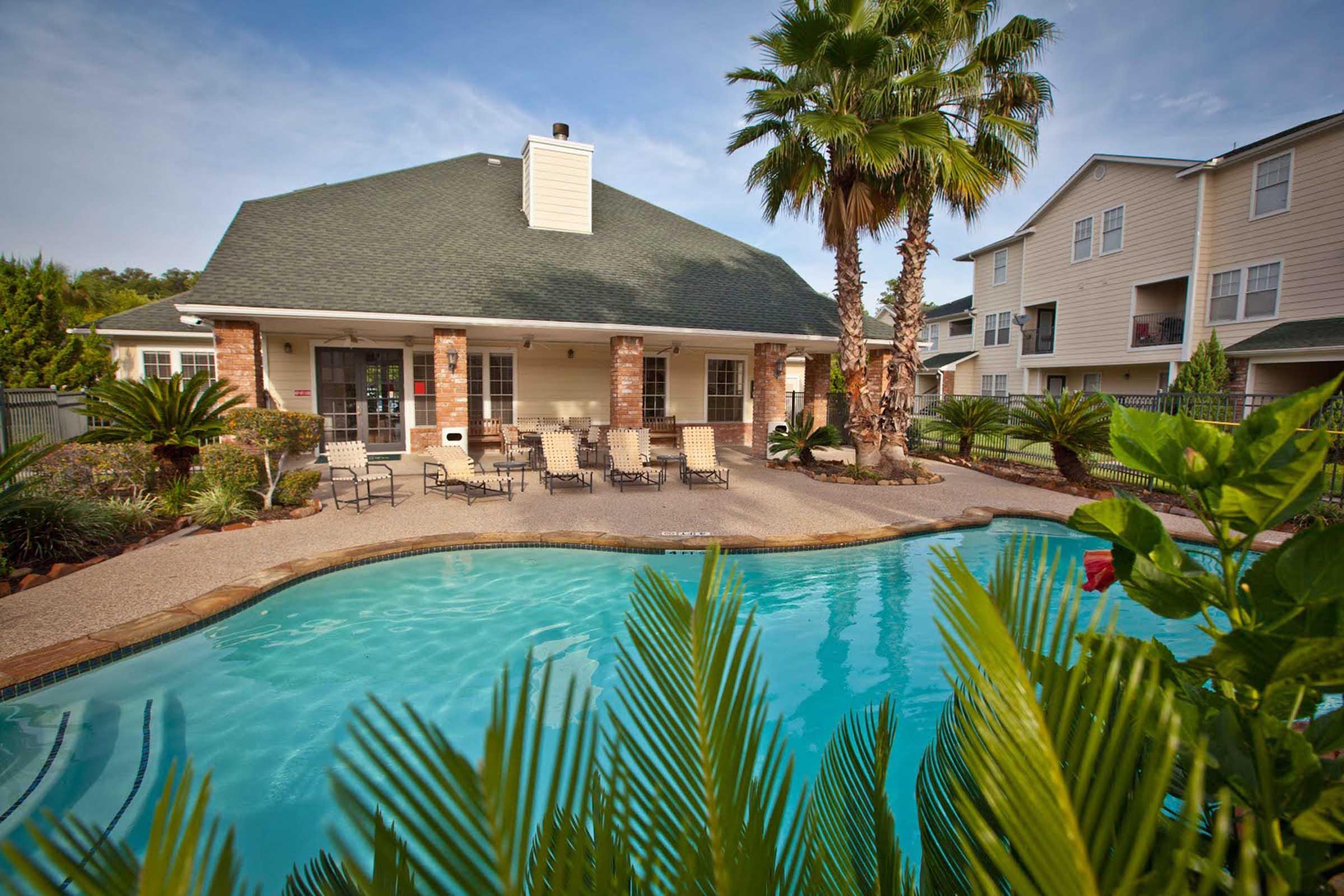 a pool next to a palm tree in front of a house