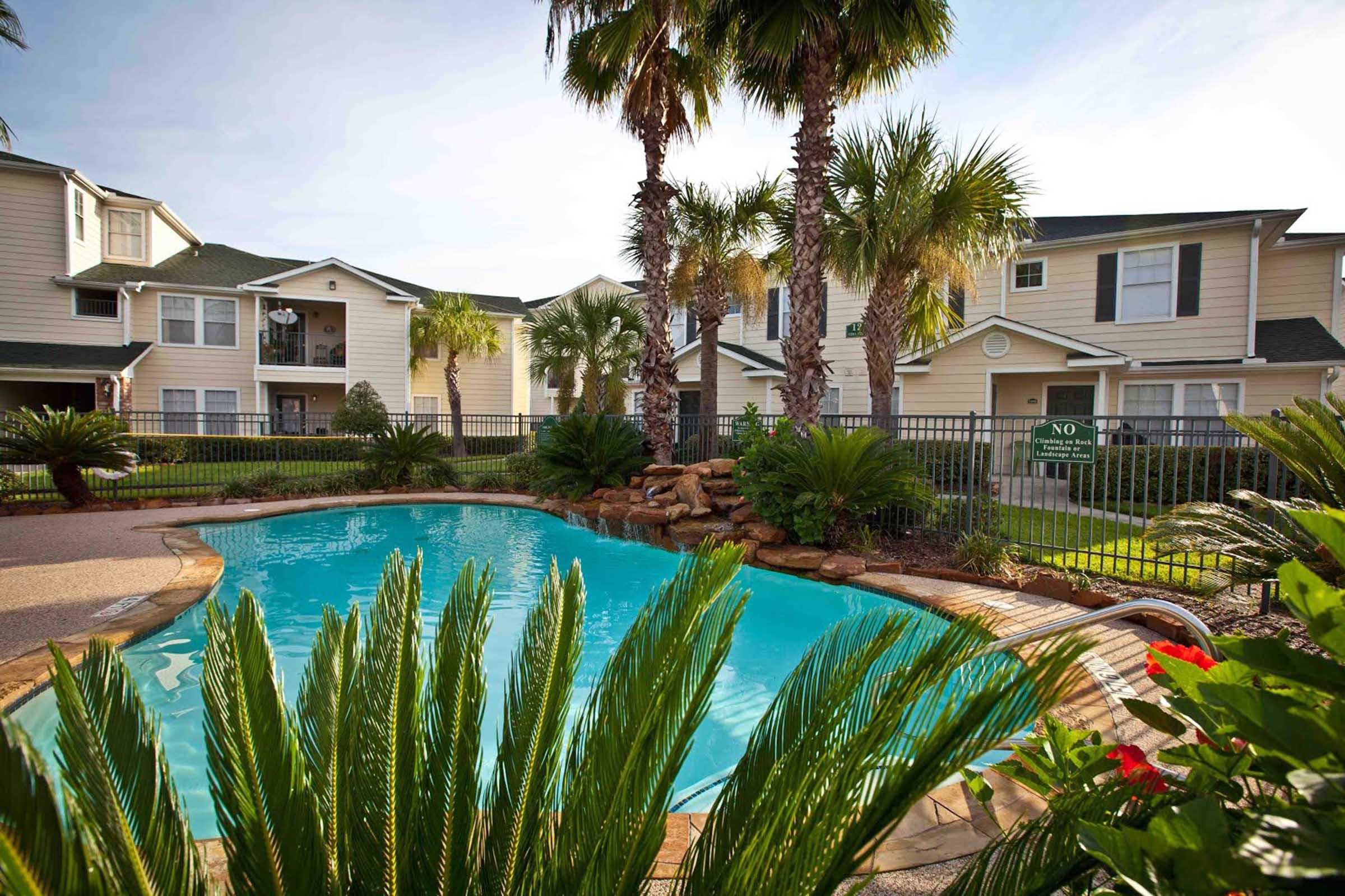 a palm tree in front of a house