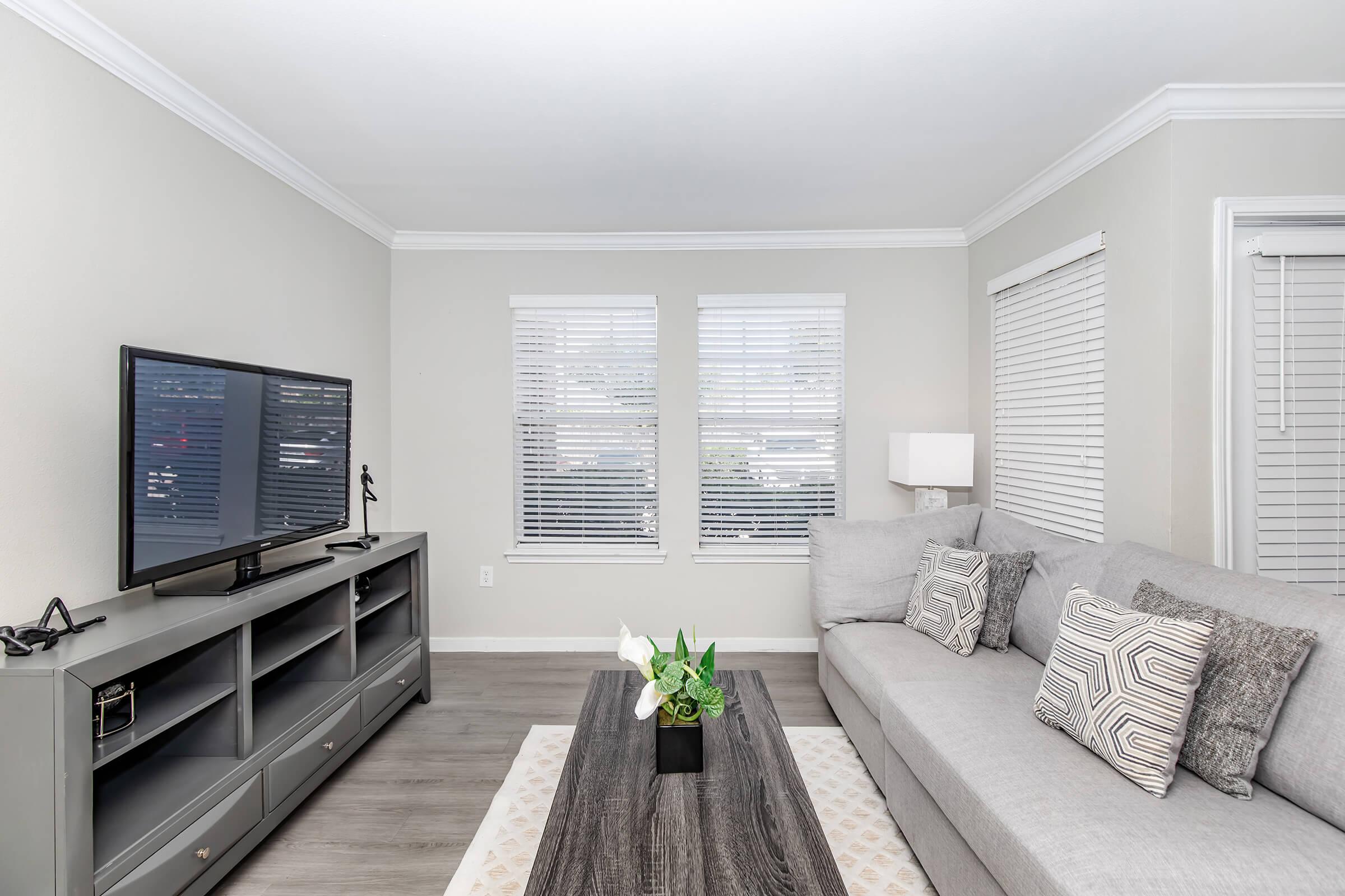 Modern living room featuring a gray sectional sofa and a sleek coffee table with a small plant centerpiece. A flat-screen TV is mounted on the wall above a stylish media console. Two windows with blinds allow natural light to fill the space, creating a bright and inviting atmosphere.