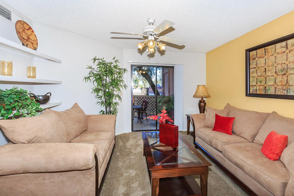 Your New Living Room Area