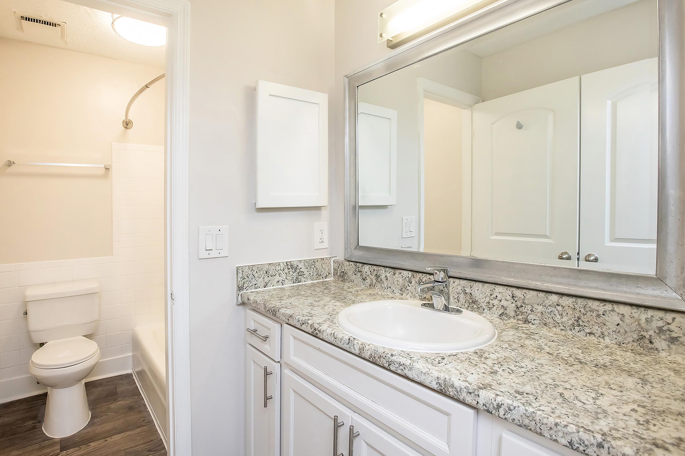 A modern bathroom featuring a white cabinetry with a granite countertop and sink, a large mirror, and a shower area with a glass door. A white toilet is positioned next to the shower. The walls are painted a light color, and there is overhead lighting.