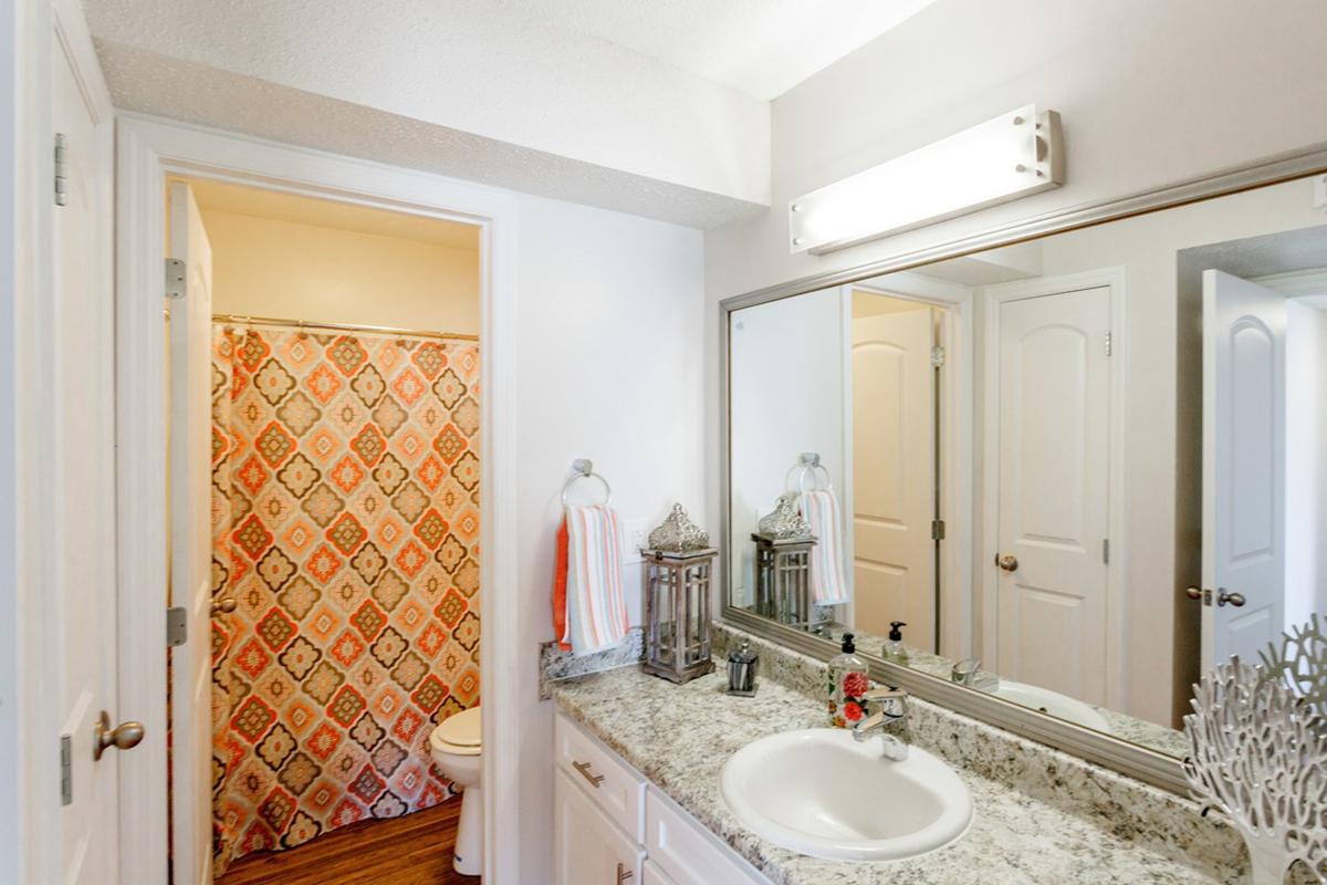 a room with a sink and a mirror
