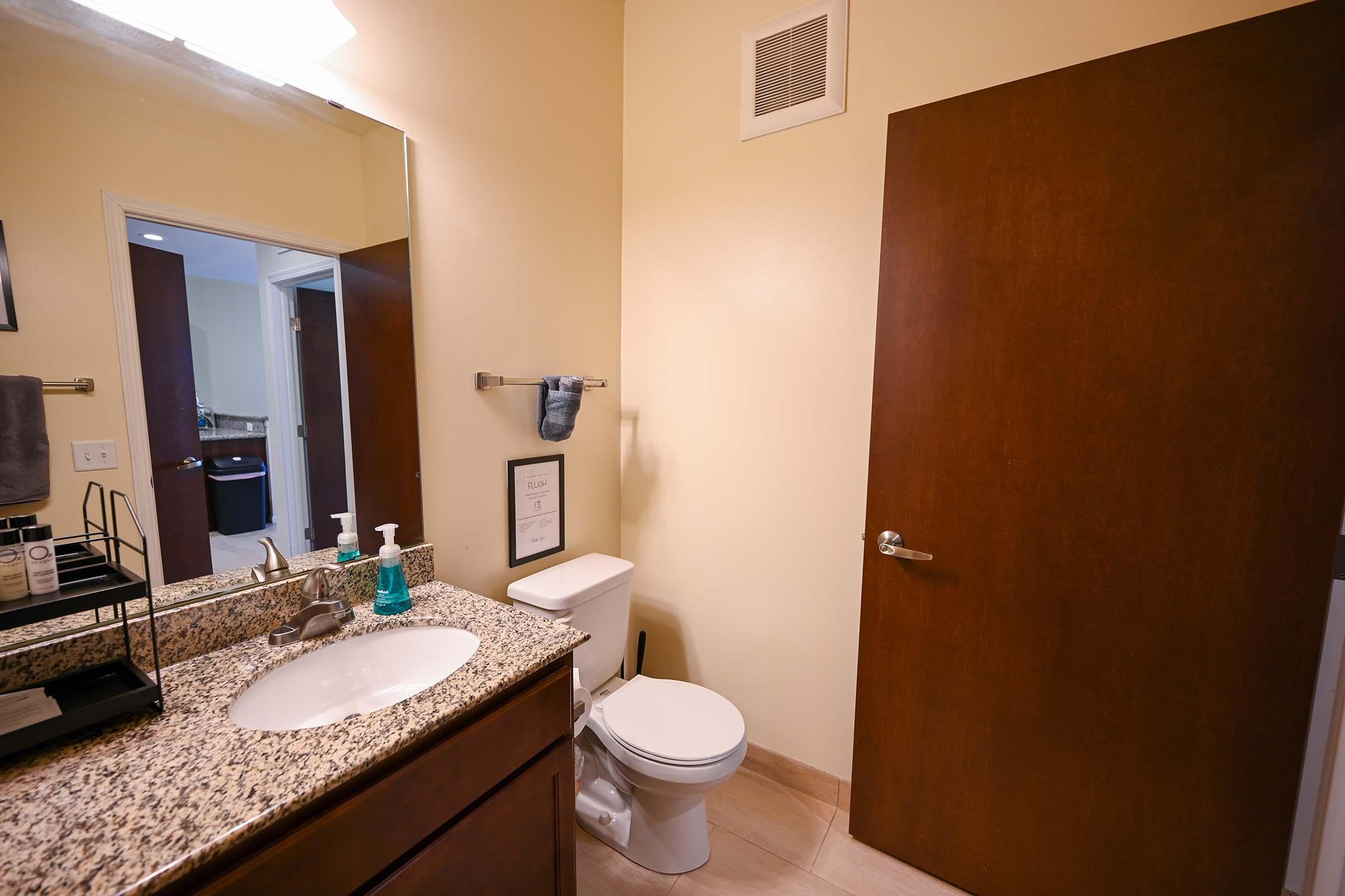 A clean bathroom featuring a granite countertop with soap dispensers and a framed picture. A toilet is positioned beside the countertop, and a wooden door leads to another area. There is a towel rack with a towel hanging, and wall-mounted items complete the simple, modern design.
