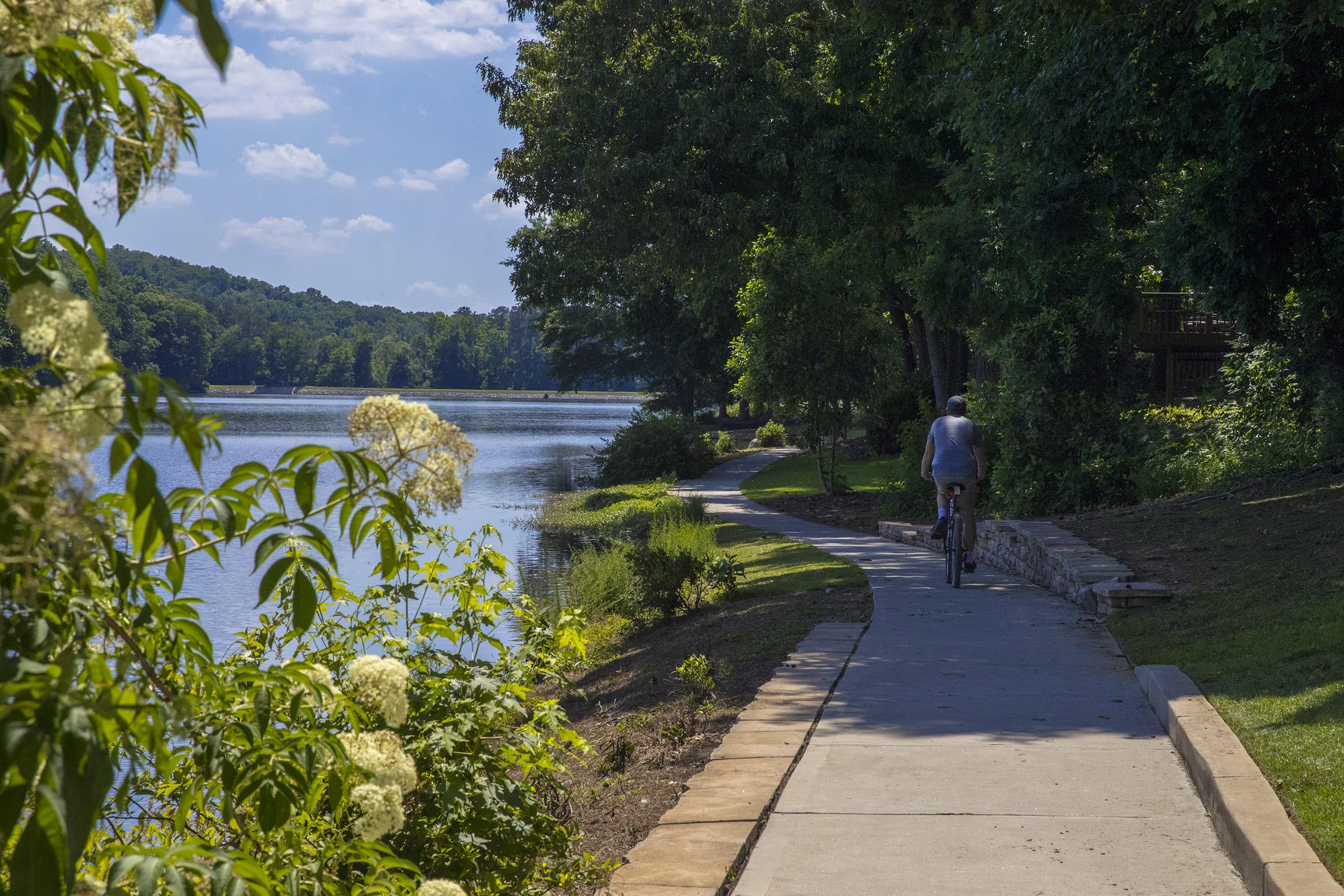 A scenic riverside pathway with a person riding a bicycle. Lush greenery and flowering plants line the path, while calm water reflects the blue sky and clouds. The area is peaceful, surrounded by trees and hills in the background, creating a tranquil outdoor setting.