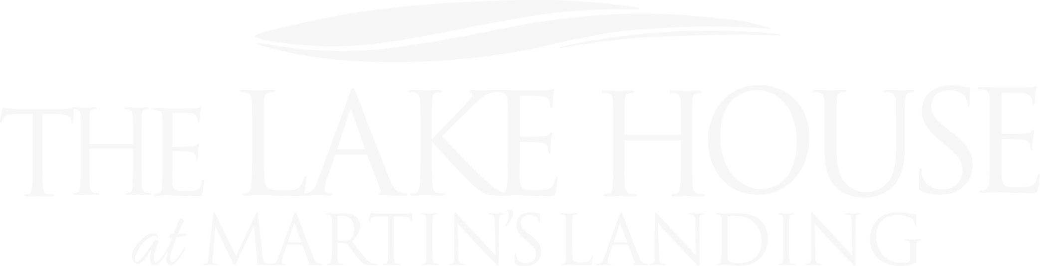Lake House at Martin's Landing ebrochure logo