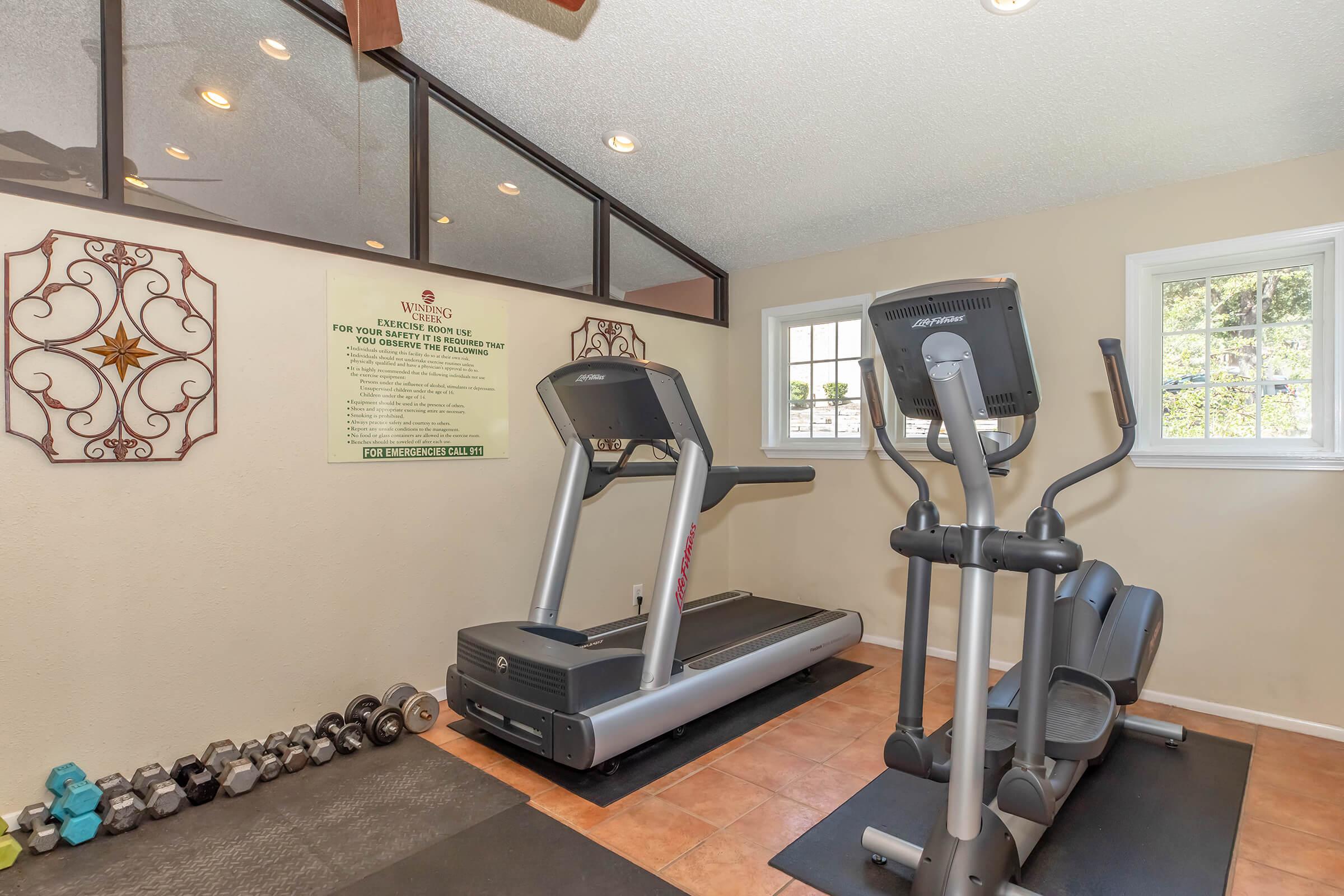 A well-lit home gym featuring a treadmill and an elliptical machine on a black workout mat. A set of dumbbells is neatly arranged on the floor, and a large window allows natural light to brighten the space. Wall decorations add a personal touch to the room.