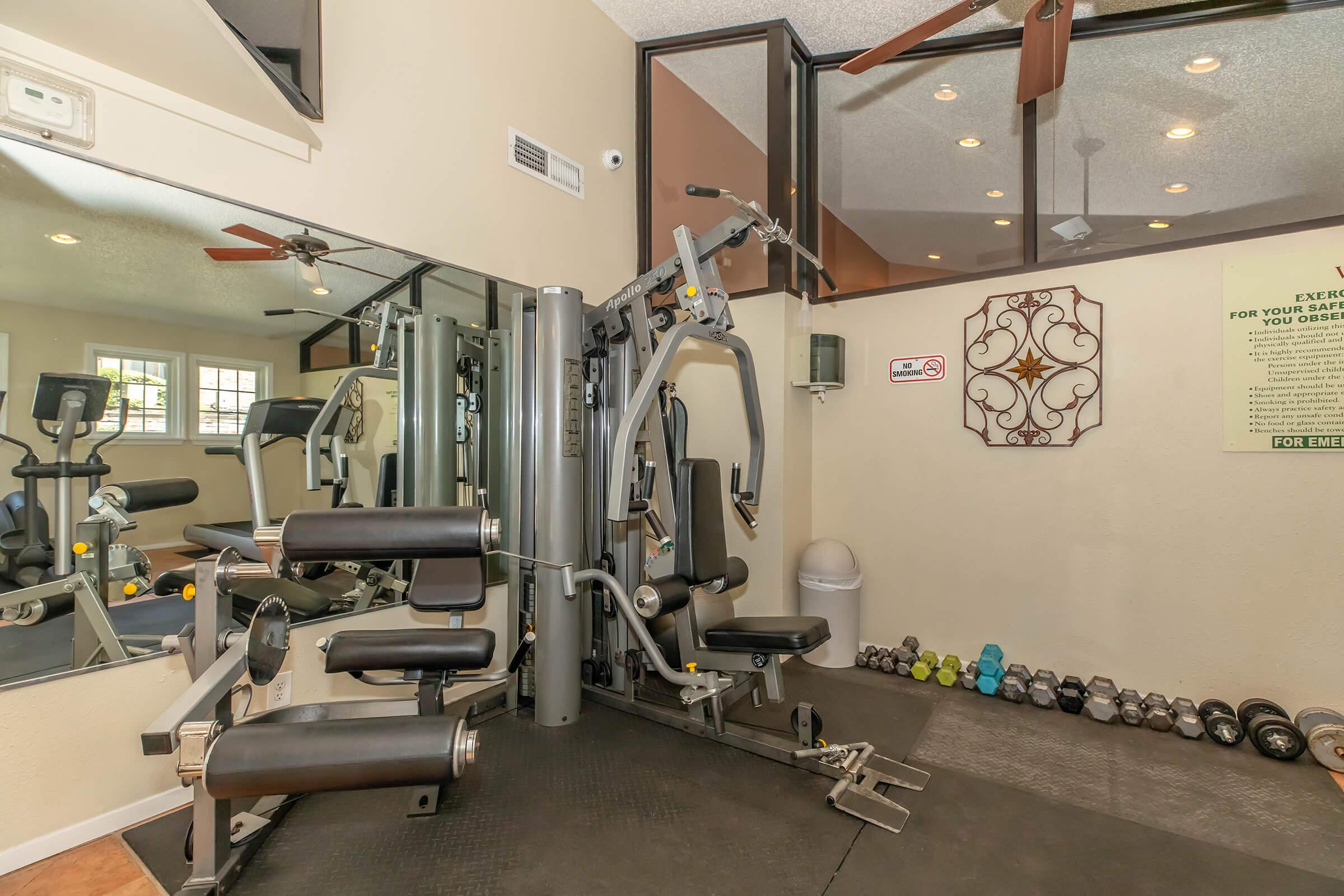 A well-equipped gym interior featuring a multi-station exercise machine, a mirrored wall, a ceiling fan, and various dumbbells neatly arranged on the floor. The space is bright with natural light coming from nearby windows, creating an inviting workout environment.