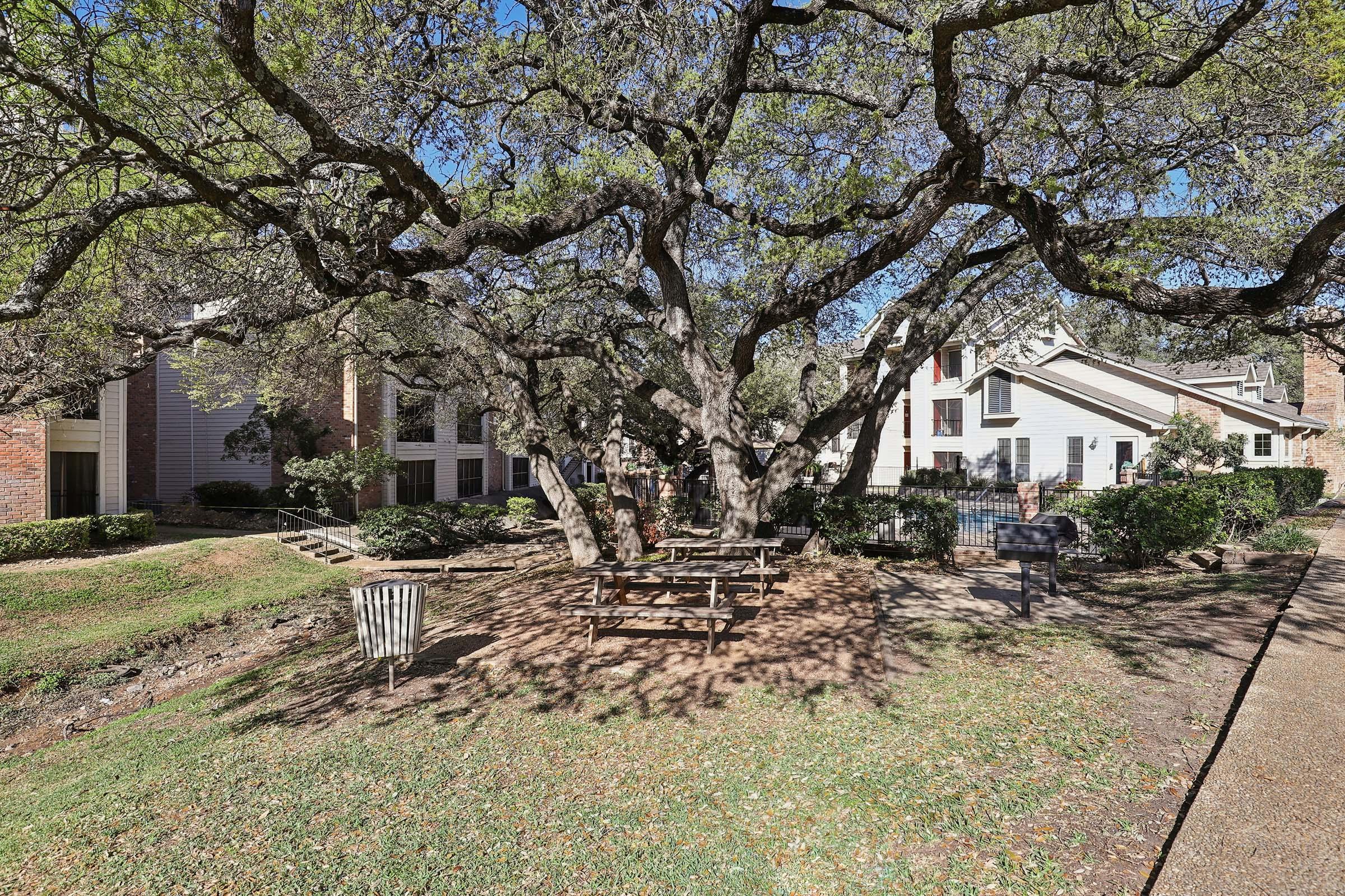A large, sprawling tree casts shade over a picnic area with wooden tables. Surrounding the space are residential buildings with a pool visible in the background. The scene is bright and sunny, highlighting the green grass and the serene outdoor setting.