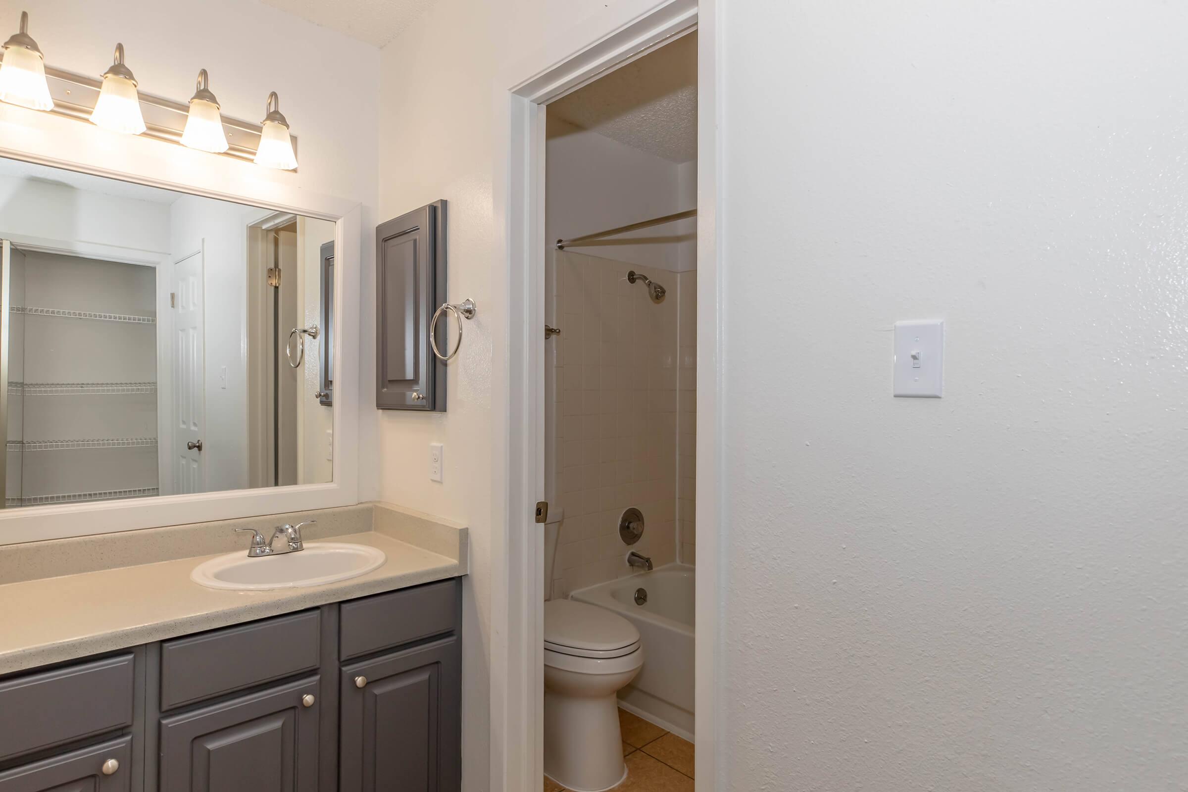A clean and modern bathroom featuring a mirror above a sink with dark cabinetry, a toilet, and a bathtub with a shower curtain. The room has neutral-colored walls and good lighting from wall-mounted fixtures. A door leads to a separate area, possibly a closet.