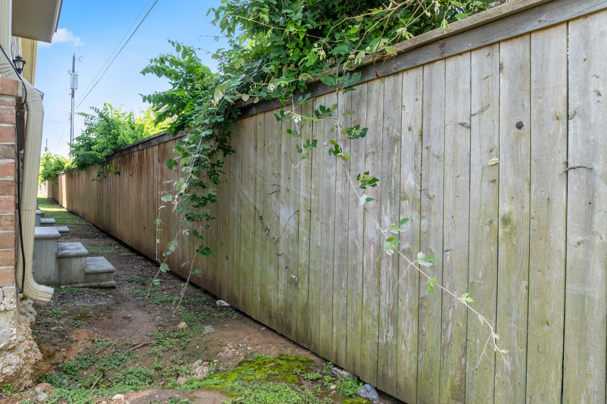 A narrow passageway between two wooden fences, with overgrown vegetation on one side. The ground is bare and uneven, and there are several concrete blocks positioned along the fence on the left. The area is well-lit, indicating a clear sky above.