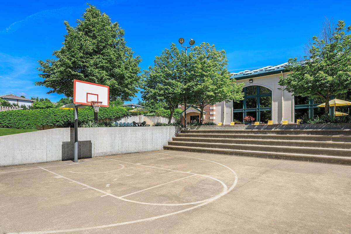 a basketball in a parking lot