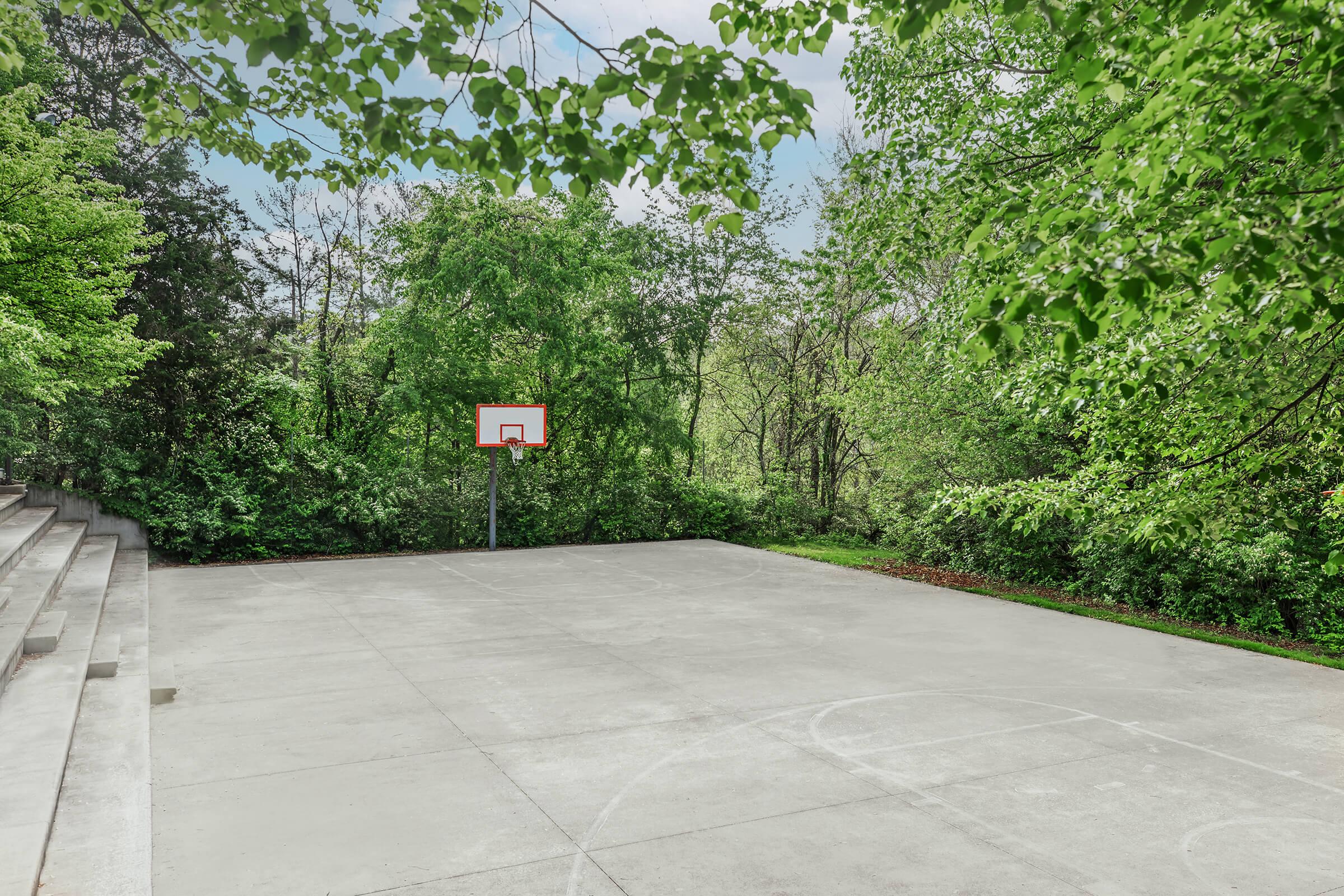 A basketball court located in a natural setting, surrounded by lush green trees and foliage. The court features a single basketball hoop on one side, with a concrete playing surface and no visible players or activity. Stairs lead to the court, blending the sports area with the outdoors.