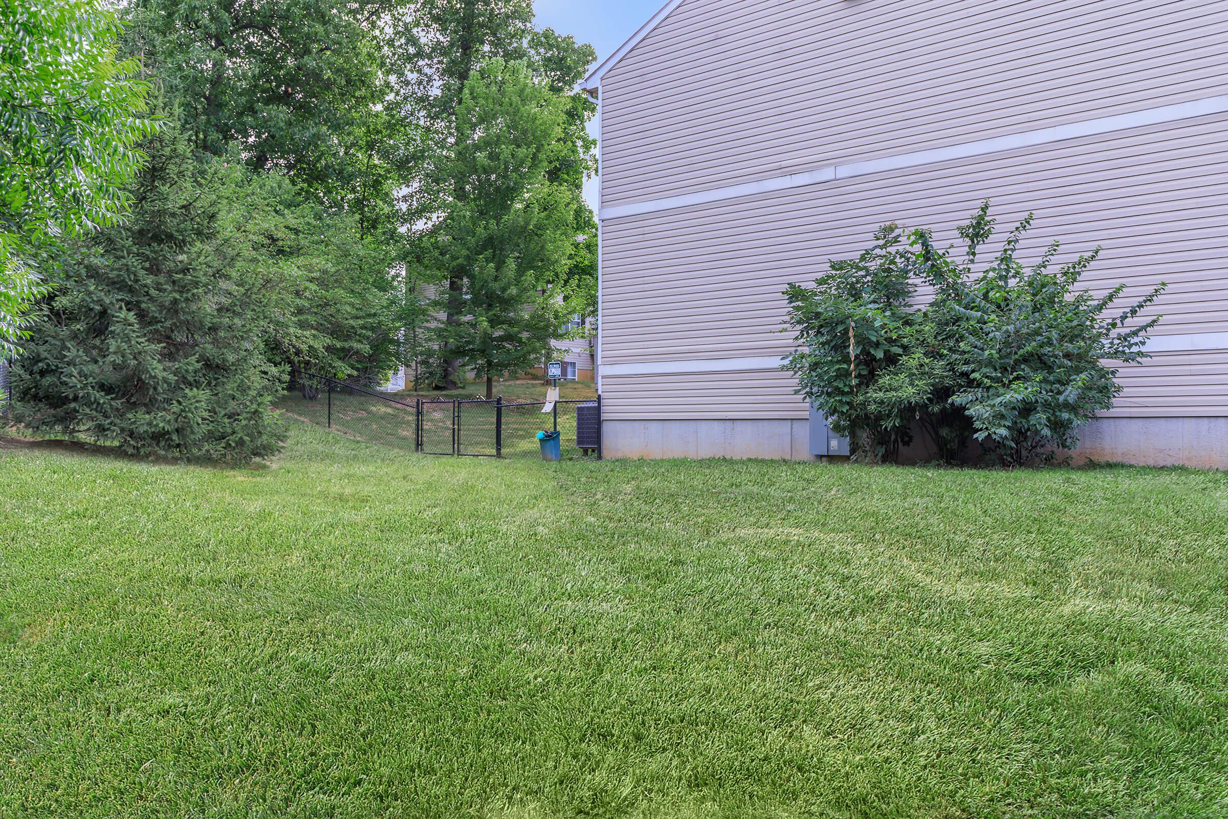 a person in a green yard