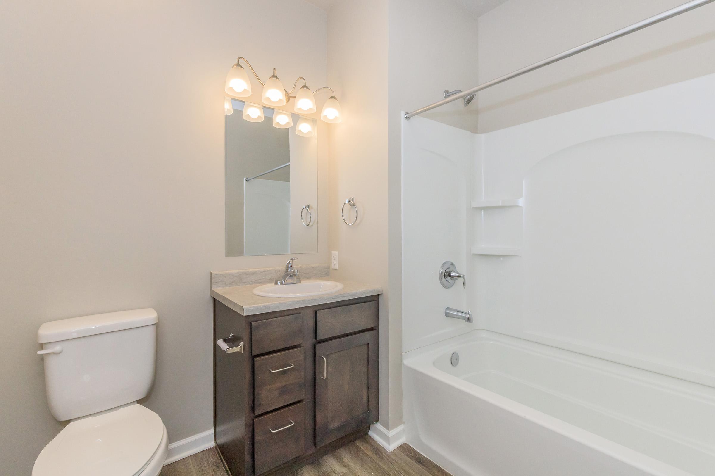 A modern bathroom featuring a white bathtub with a shower, a dark wood vanity with a sink, a large mirror above the sink, and a toilet. Soft lighting from four fixtures above the mirror illuminates the space, which has light-colored walls and a wood-style floor.