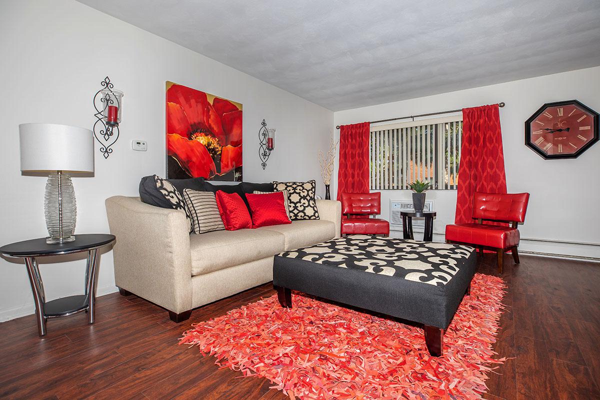 a living room filled with furniture and a red rug