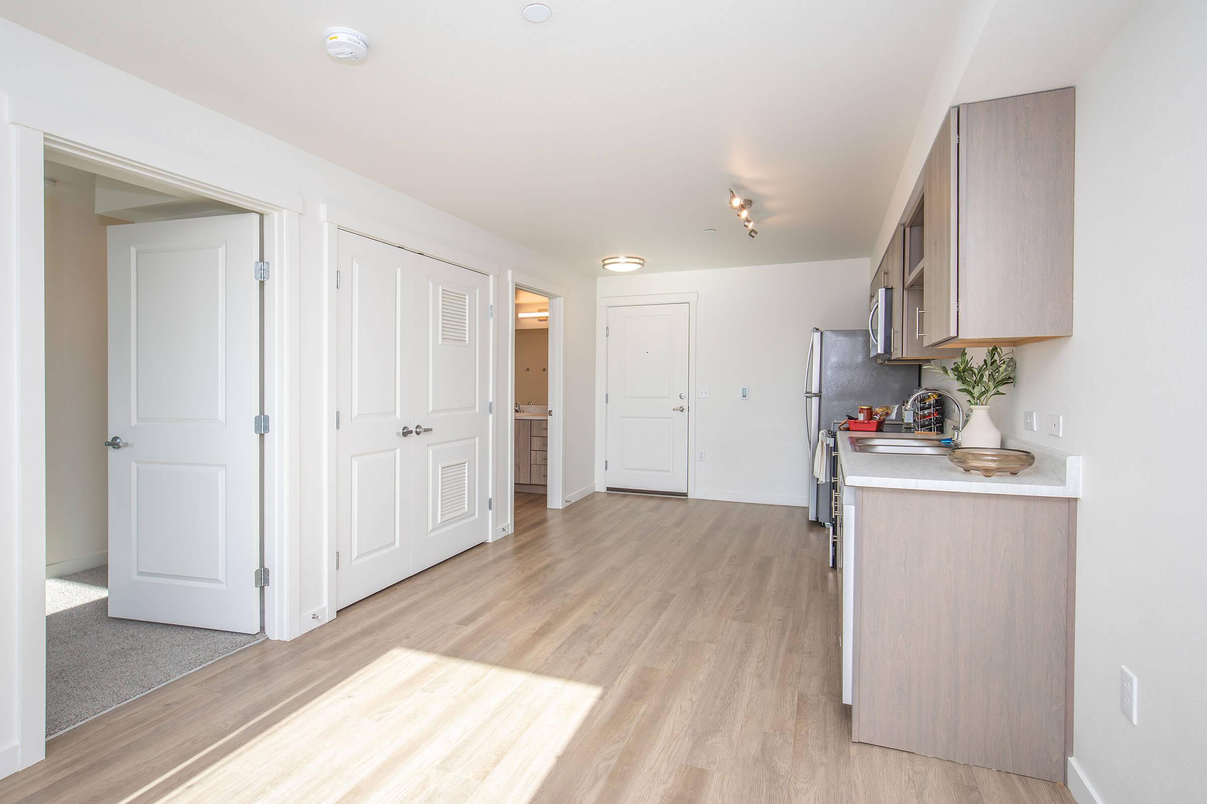 A bright, modern apartment interior showcasing an open layout. Features include a kitchen with gray cabinets and stainless steel appliances on the right, with an adjacent living space and two white doors leading to other rooms. The flooring is light-colored wood, and there is natural light coming from a window.