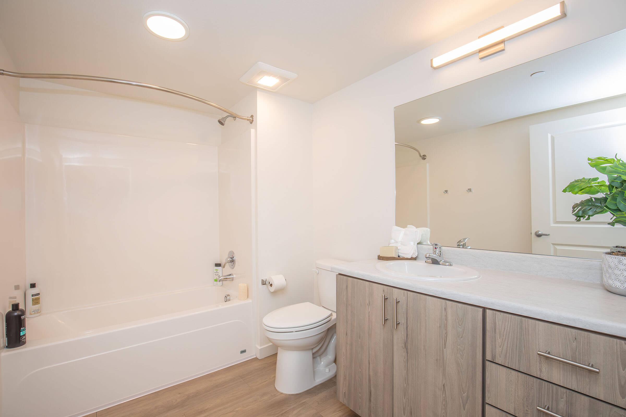 A clean, modern bathroom featuring a white bathtub with a shower, a toilet, and a wooden vanity with sink. The room is well-lit with overhead lighting and a large mirror. A small plant adds a touch of greenery to the decor. The flooring is light wood, contributing to the bright and airy atmosphere.