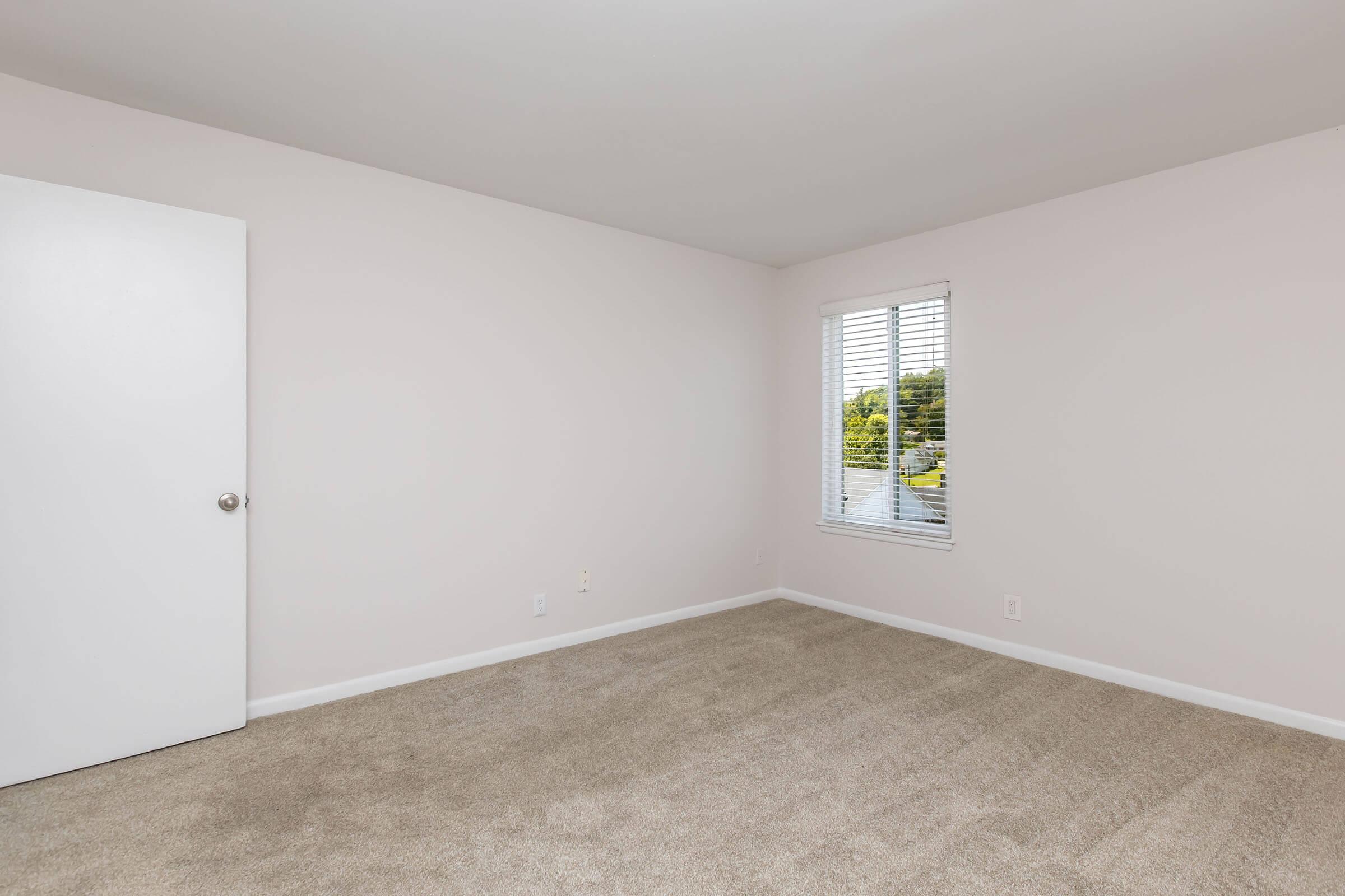 A spacious, empty room with light beige carpet and pale walls. There is a closed white door on the left and a window with blinds on the right, allowing natural light to enter. The room has a clean and minimalist appearance, ideal for various furnishings or decorations.
