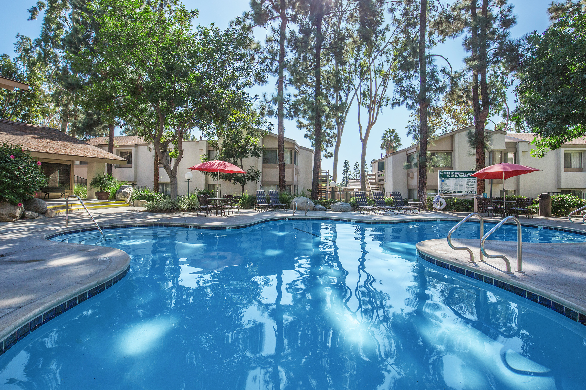 A serene swimming pool surrounded by lush trees and flowering plants. Bright red umbrellas provide shade over lounge chairs arranged around the pool. Nearby, residential buildings are visible, with clear blue skies overhead, creating a relaxing outdoor atmosphere.