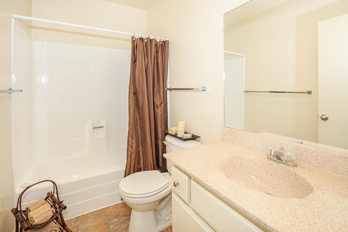 Bathroom with brown shower curtain