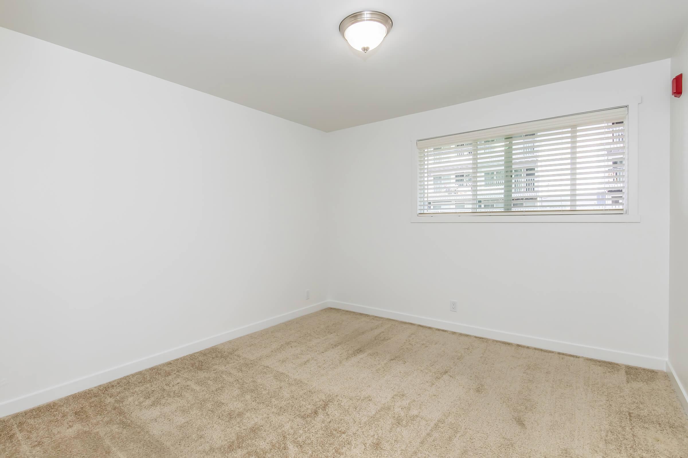 Empty room with white walls and a light-colored carpet. A window with blinds allows natural light in. The ceiling features a central light fixture. The space is minimalist and ready for furniture placement.