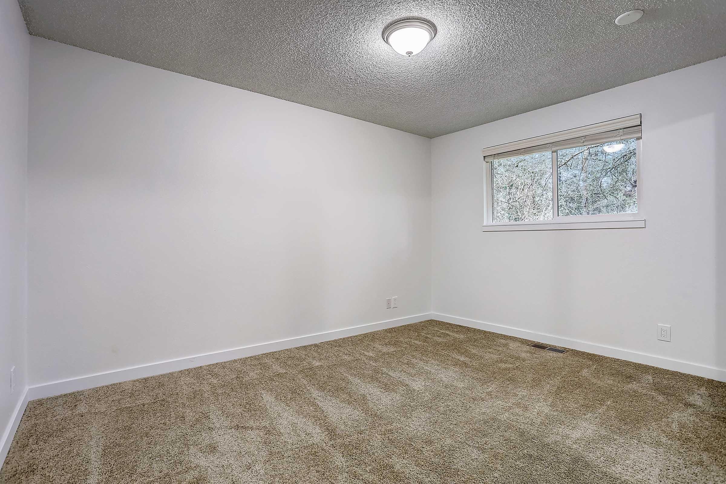 Empty room with beige carpet and white walls. A single window allows natural light to enter, and a ceiling light fixture is mounted above. The room has a simple, clean aesthetic and no furniture or decorations.