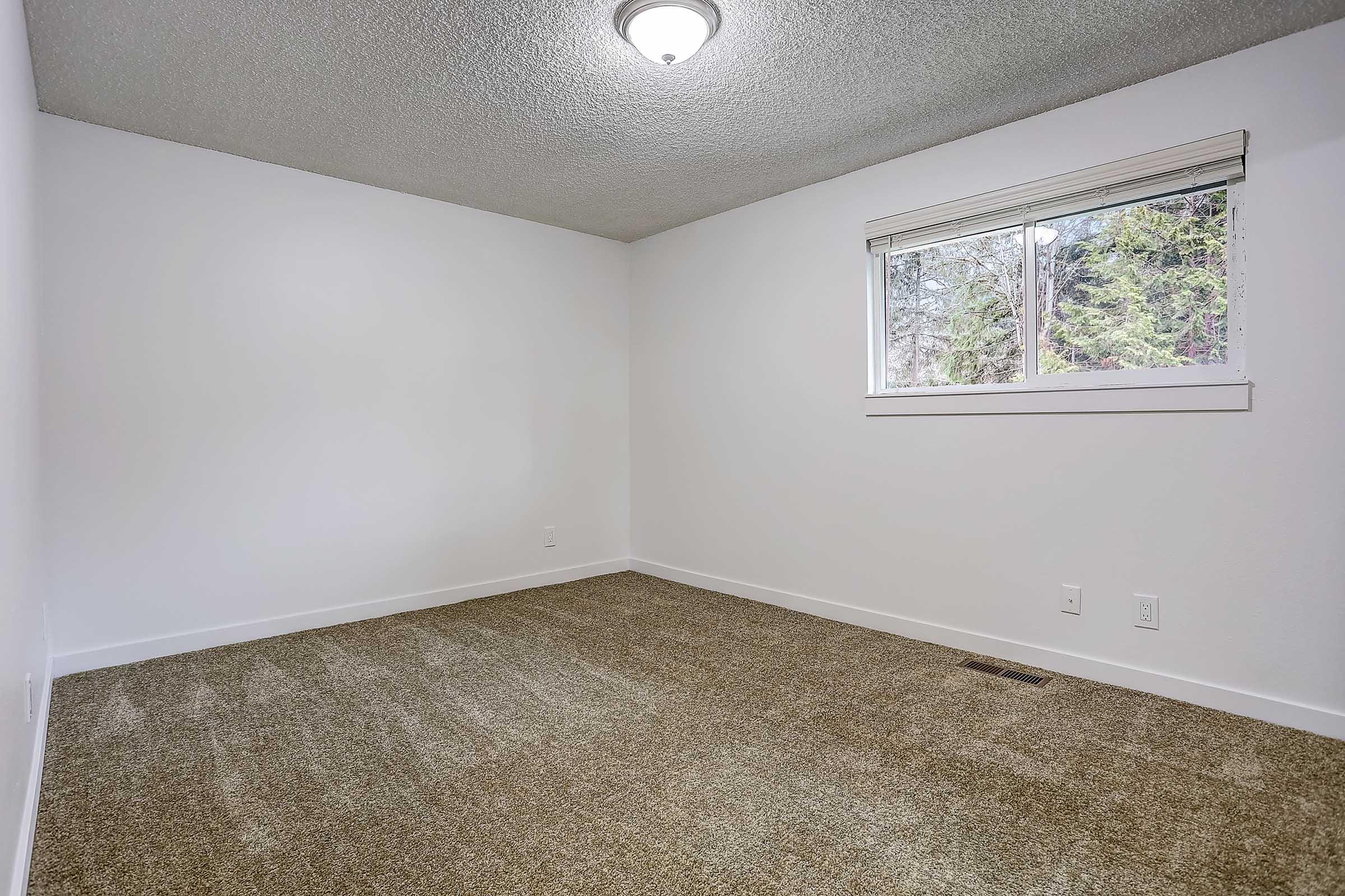 A sparsely furnished room featuring beige carpet, white walls, and a ceiling light fixture. A single window lets in natural light, surrounded by trees outside. The space is empty, providing a blank canvas for potential decoration or furniture placement.