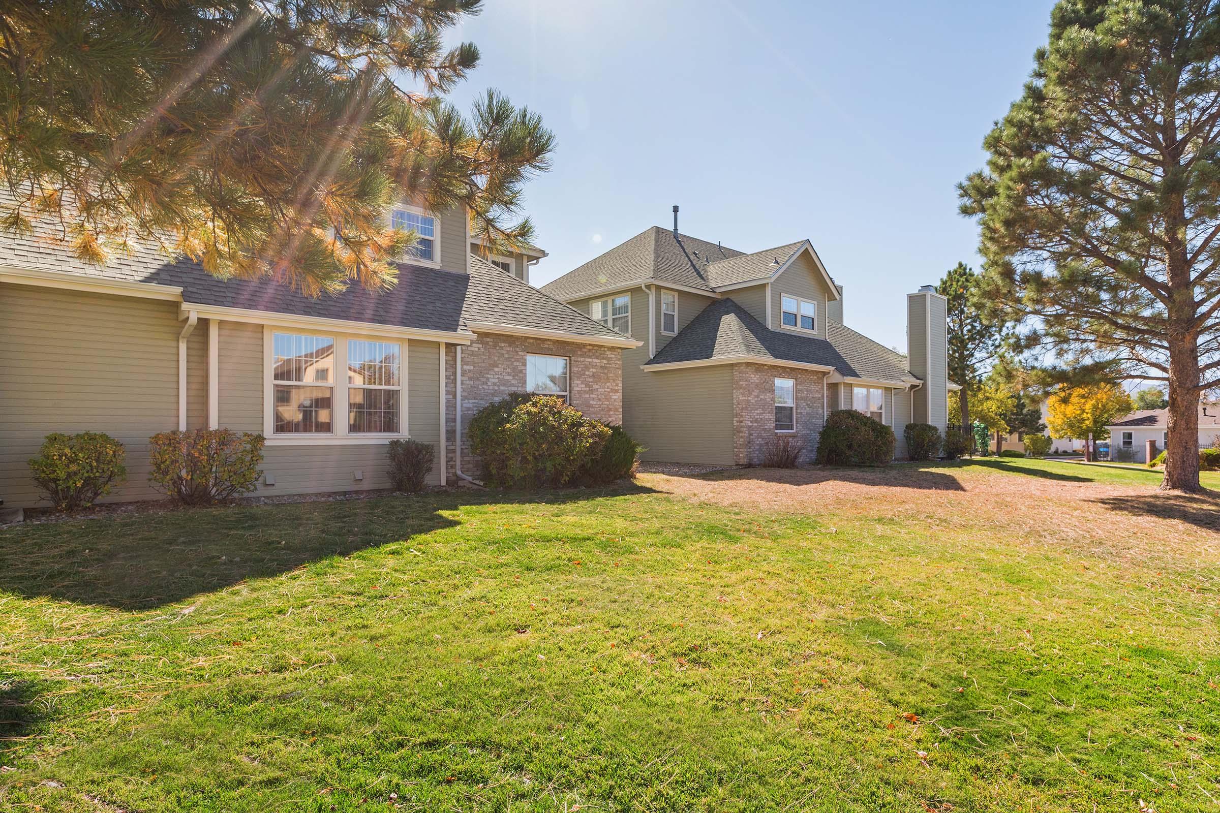A sunny view of a residential area featuring two large homes surrounded by lush green grass and neatly trimmed bushes. Tall pine trees provide shade, and the clear blue sky creates a bright atmosphere. The well-maintained landscape enhances the overall appeal of the property.
