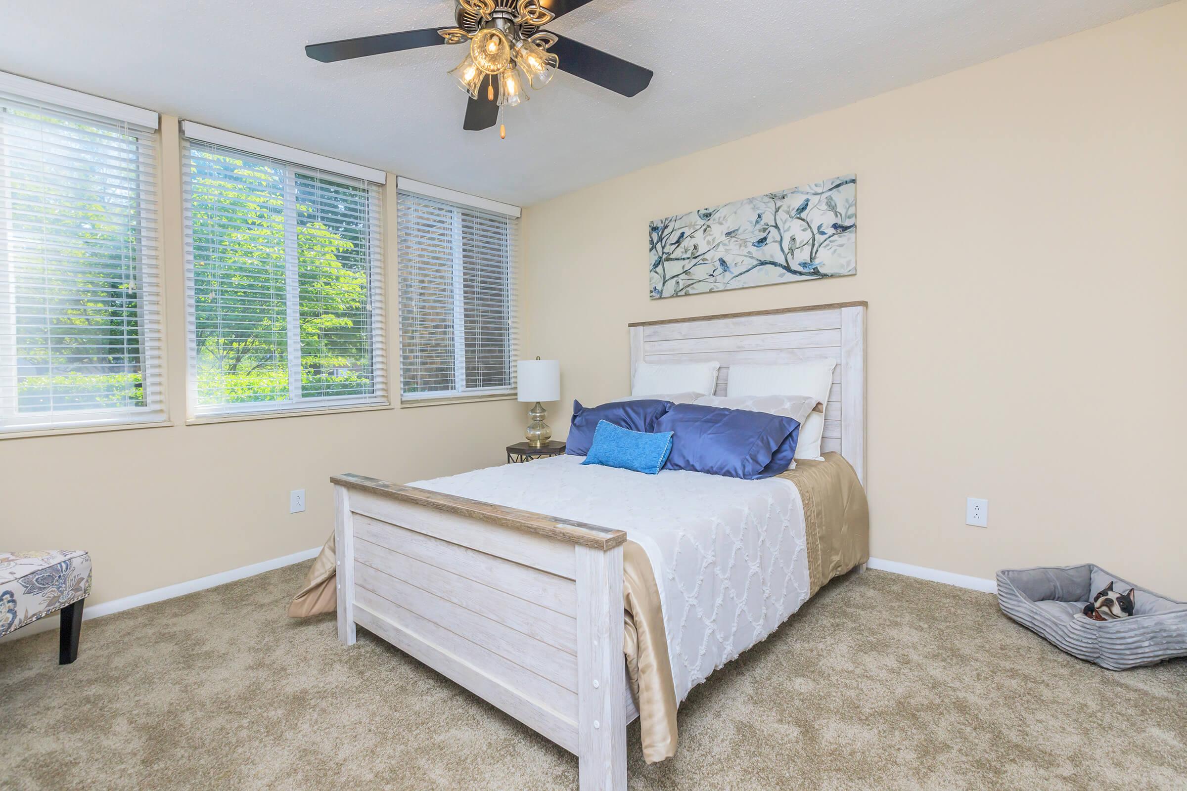 A cozy bedroom featuring a wooden bed frame with a blue accent pillow, light bedding, and a lamp on a nightstand. The room has large windows with blinds allowing natural light in and a neutral-colored carpet. A small pet bed is in the corner, adding a homey touch. 