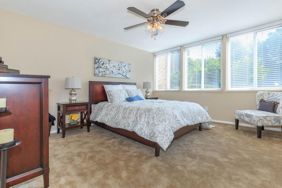 Bright and Spacious Bedroom