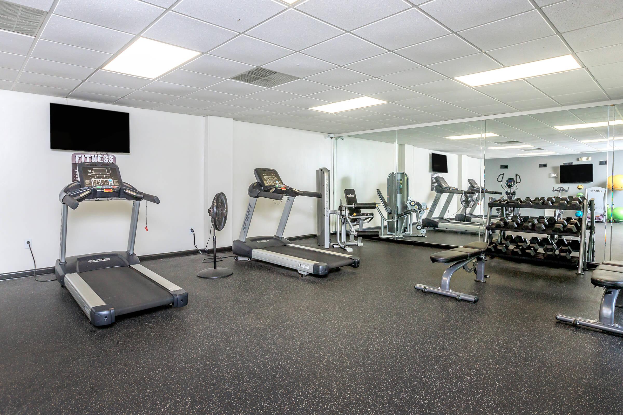 A well-equipped fitness room featuring treadmills, free weights, and a weight bench. The space has a mirrored wall, overhead lighting, and a wall-mounted TV. A fan is present for ventilation, and the floor is covered with black rubber flooring for safety and comfort.