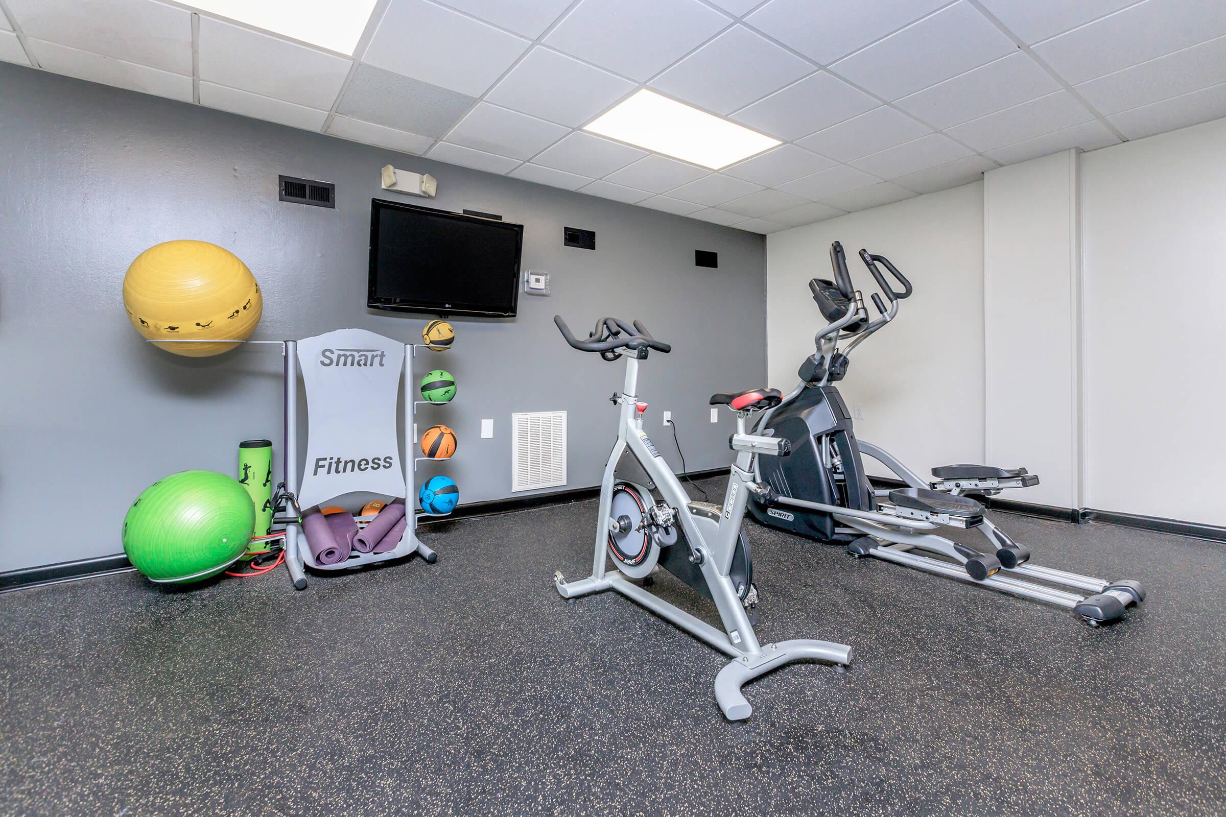 A modern gym interior featuring a stationary exercise bike, an elliptical machine, and various exercise balls in vibrant colors. The room has a flat-screen TV mounted on the wall and fitness equipment organized neatly. The flooring is dark and rubberized, creating a functional workout space.