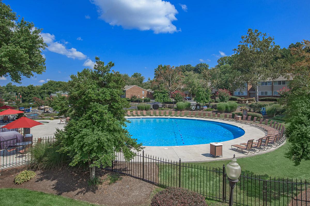 SHIMMERING SWIMMING POOL