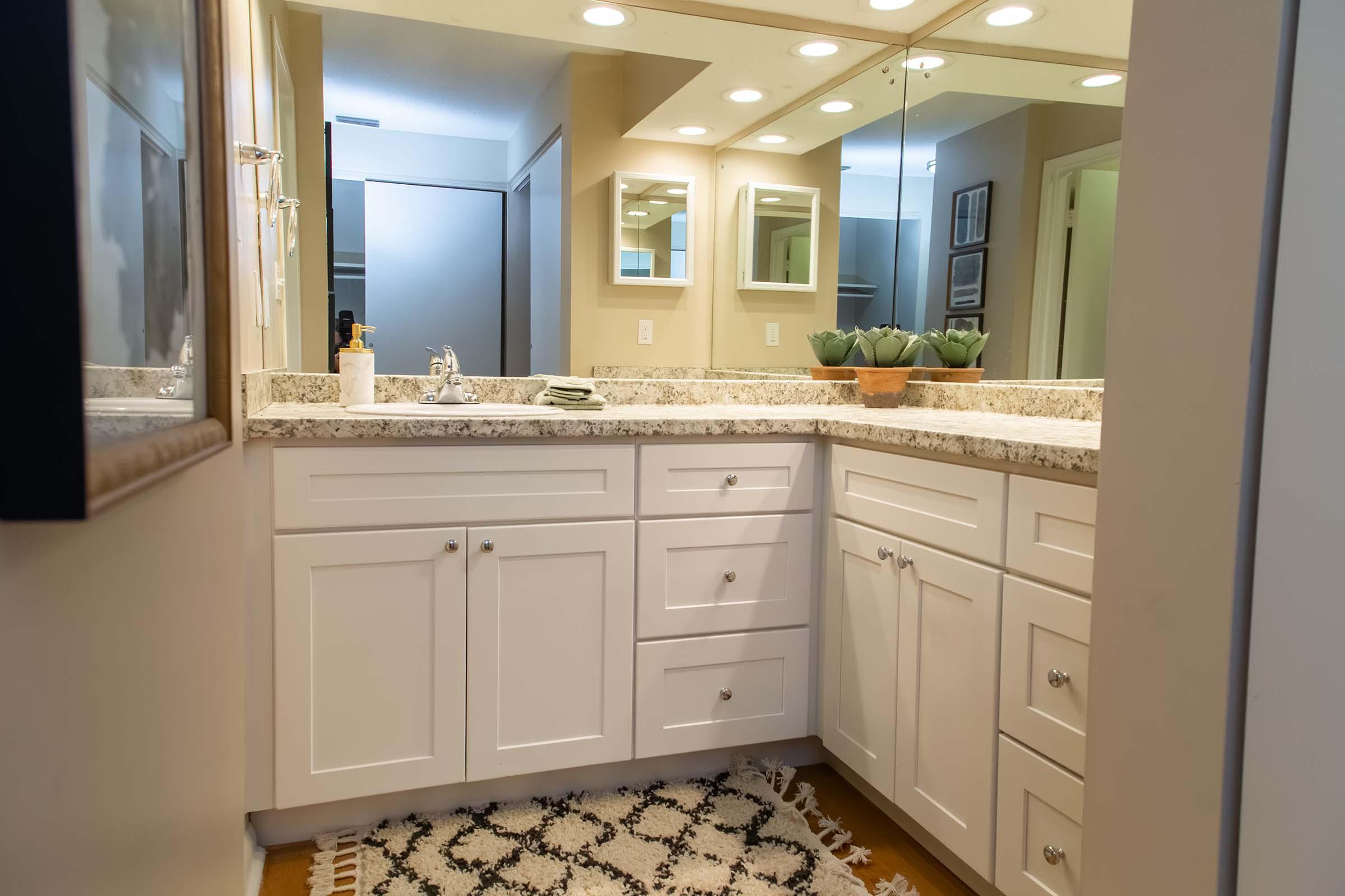 A modern bathroom featuring white cabinetry, a granite countertop, and a large mirror with bright lighting. There are decorative potted plants on the counter and a patterned rug on the floor, creating a clean and inviting space.