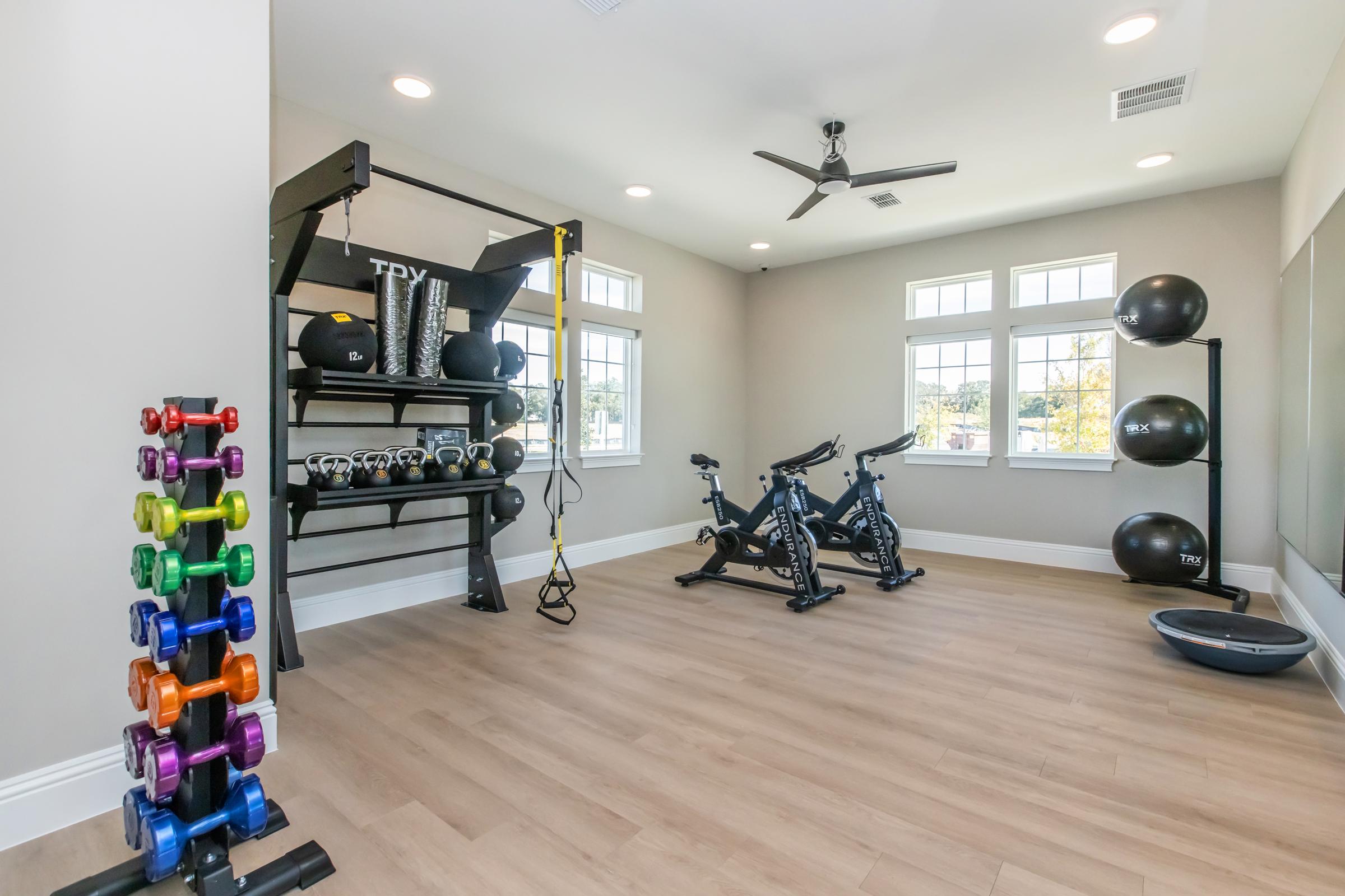 A modern gym interior featuring a wall-mounted weight rack with colorful dumbbells, stationary bikes, a TRX suspension training system, exercise balls, and large windows that let in natural light. The floor is wooden, creating a warm atmosphere.