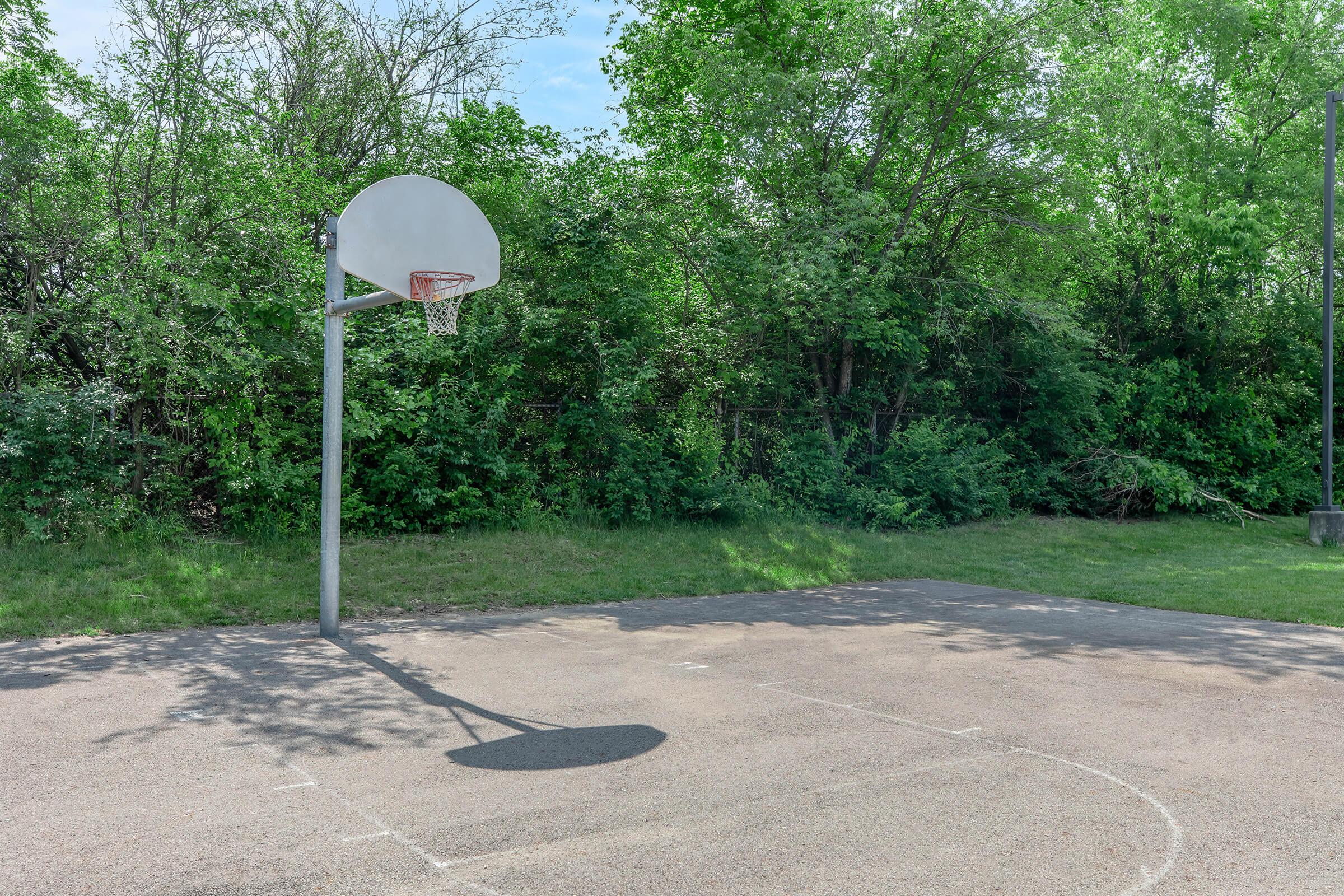 A basketball hoop stands on an outdoor court surrounded by lush green trees. The court is empty, with visible shadows on the ground from the hoop. Bright daylight enhances the serene and inviting atmosphere of the space.