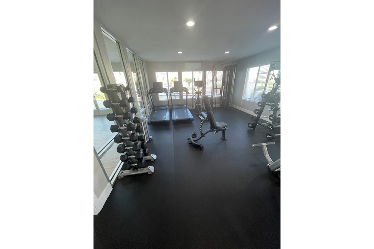 A modern gym interior featuring a range of gym equipment. There's a set of dumbbells on a rack, a treadmill, and a weight machine. The space is well-lit with large windows allowing natural light, and the flooring is dark, providing a sleek look to the workout area.