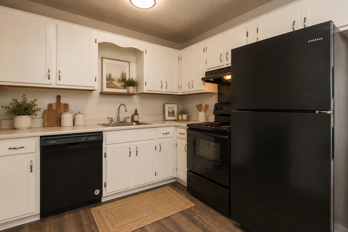 A modern kitchen featuring white cabinetry, a black refrigerator, and a black oven. There is a stainless steel sink, a dishwasher, and a countertop with various kitchen items and decorative plants. A door leads to an upper cabinet, and a natural fiber rug is positioned on the floor.