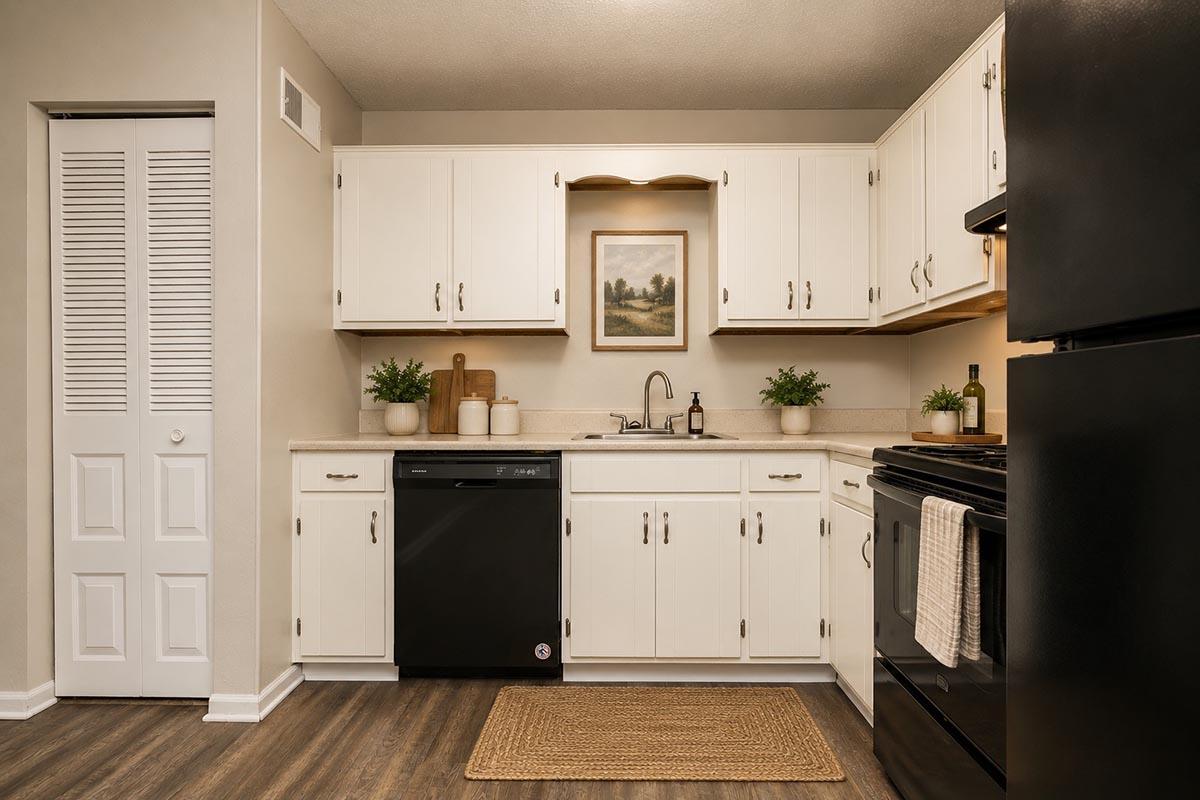 A modern kitchen featuring white cabinets, a black dishwasher, and a black stove. There's a light-colored countertop with a small painting and decorative plants. The flooring is wood-like, and a tan rug is placed in front of the sink. A closet door is visible on the left side of the image.