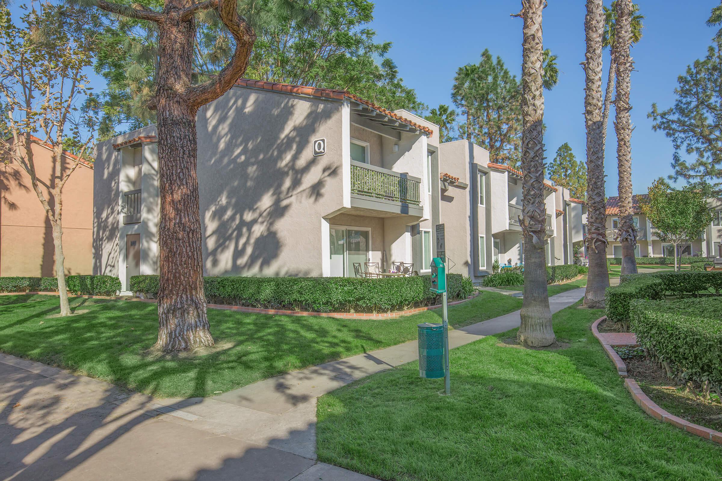 a large lawn in front of a tree