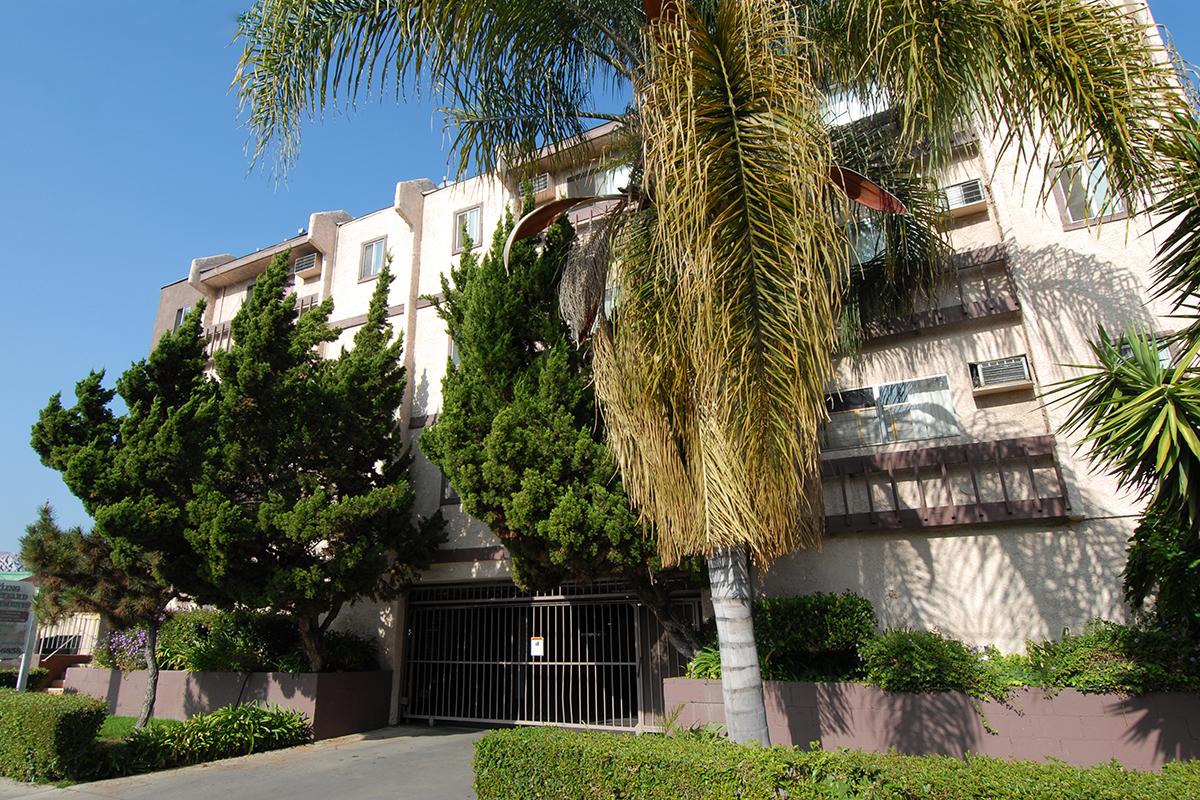 a palm tree in front of a building