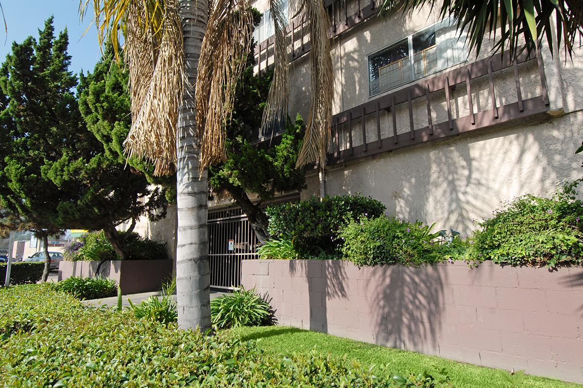 a palm tree in front of a building