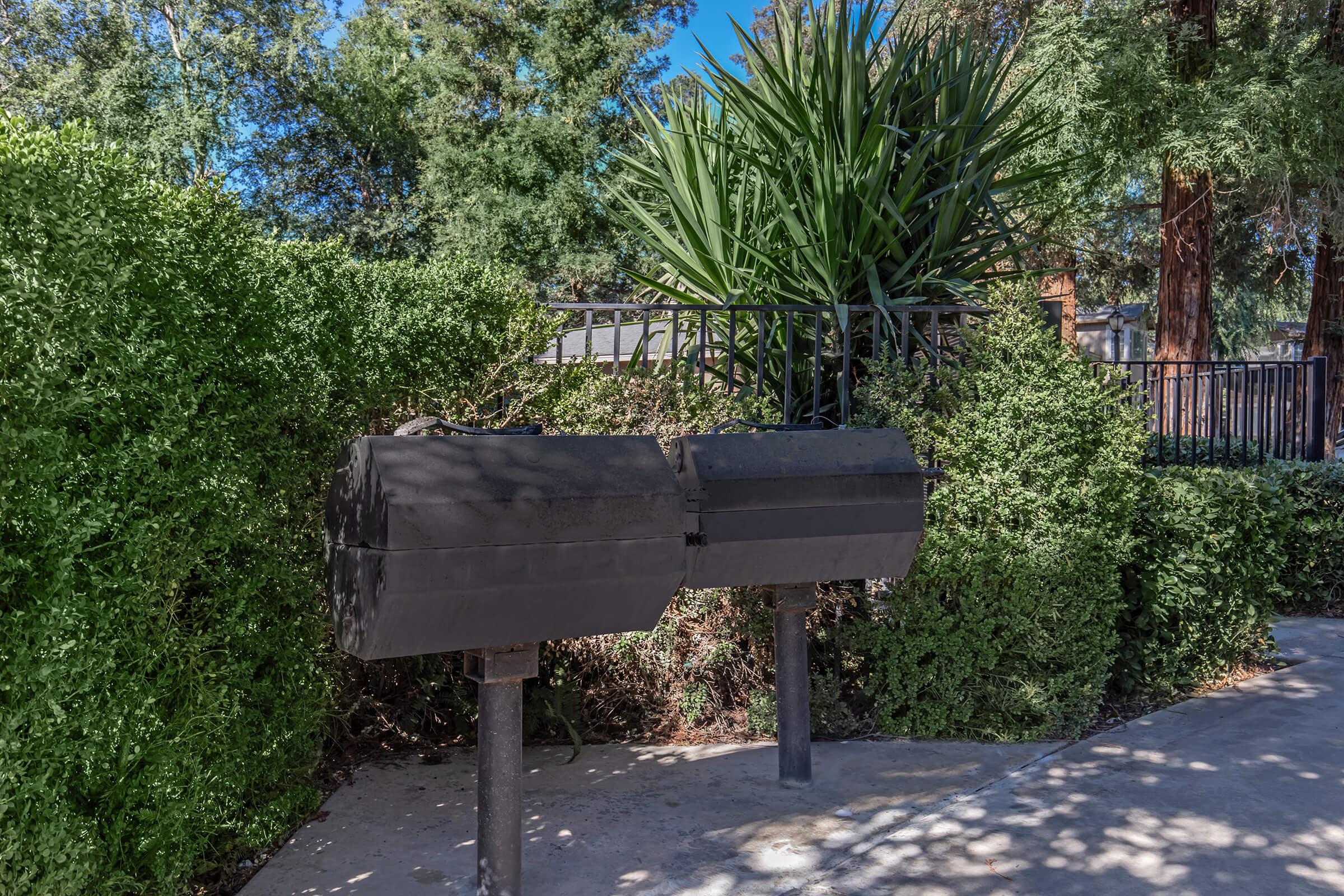 an empty park bench next to a tree