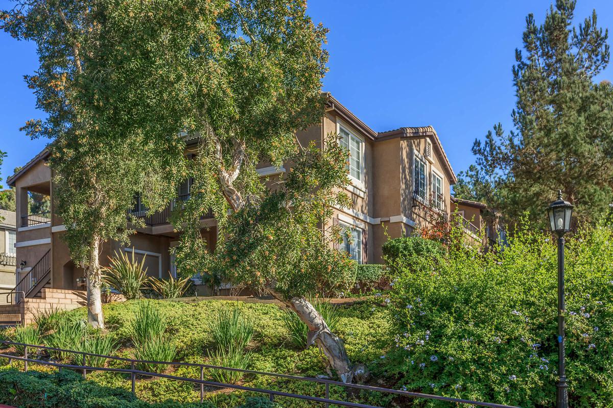 a tree in front of a house