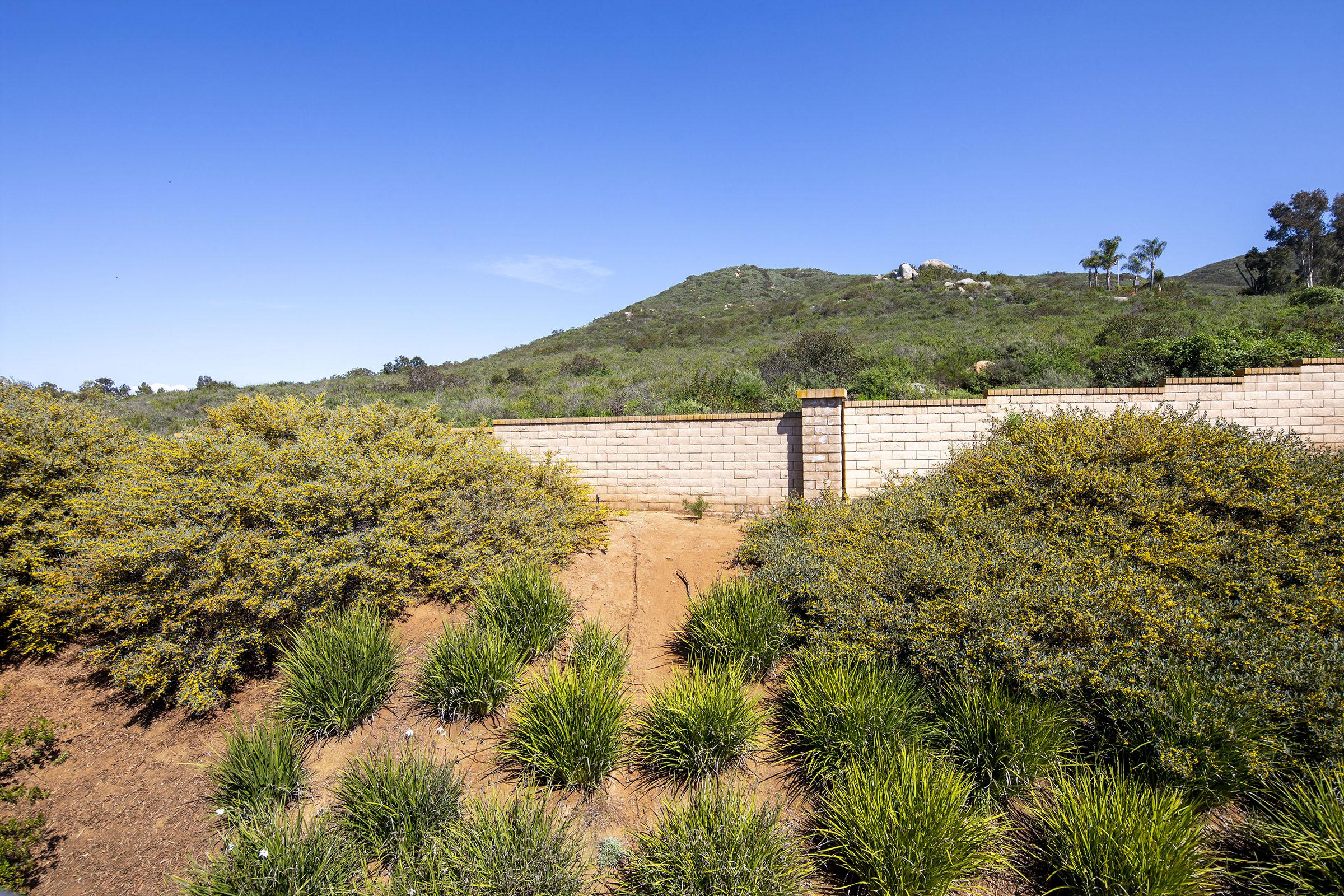 A rural landscape featuring a low stone wall with greenery in the foreground. Beyond the wall, rolling hills are visible under a clear blue sky. Various shrubs and grasses frame the scene, creating a natural environment that suggests tranquility and openness.