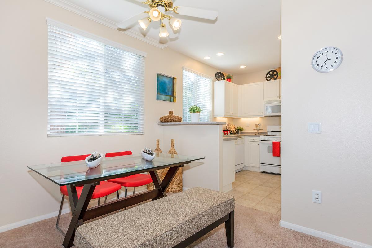 LARGE DINING AREA