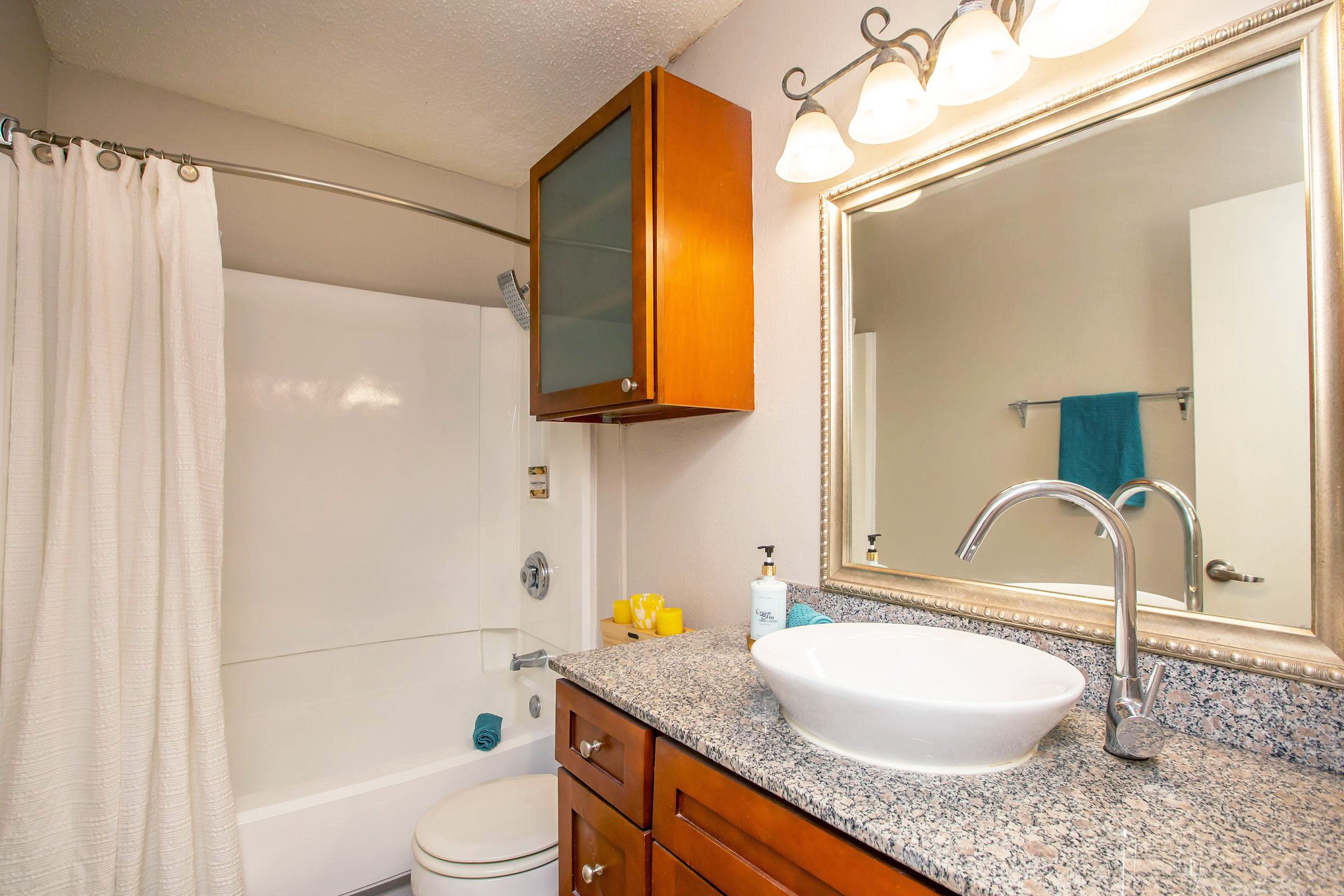 a shower that has a sink and a mirror