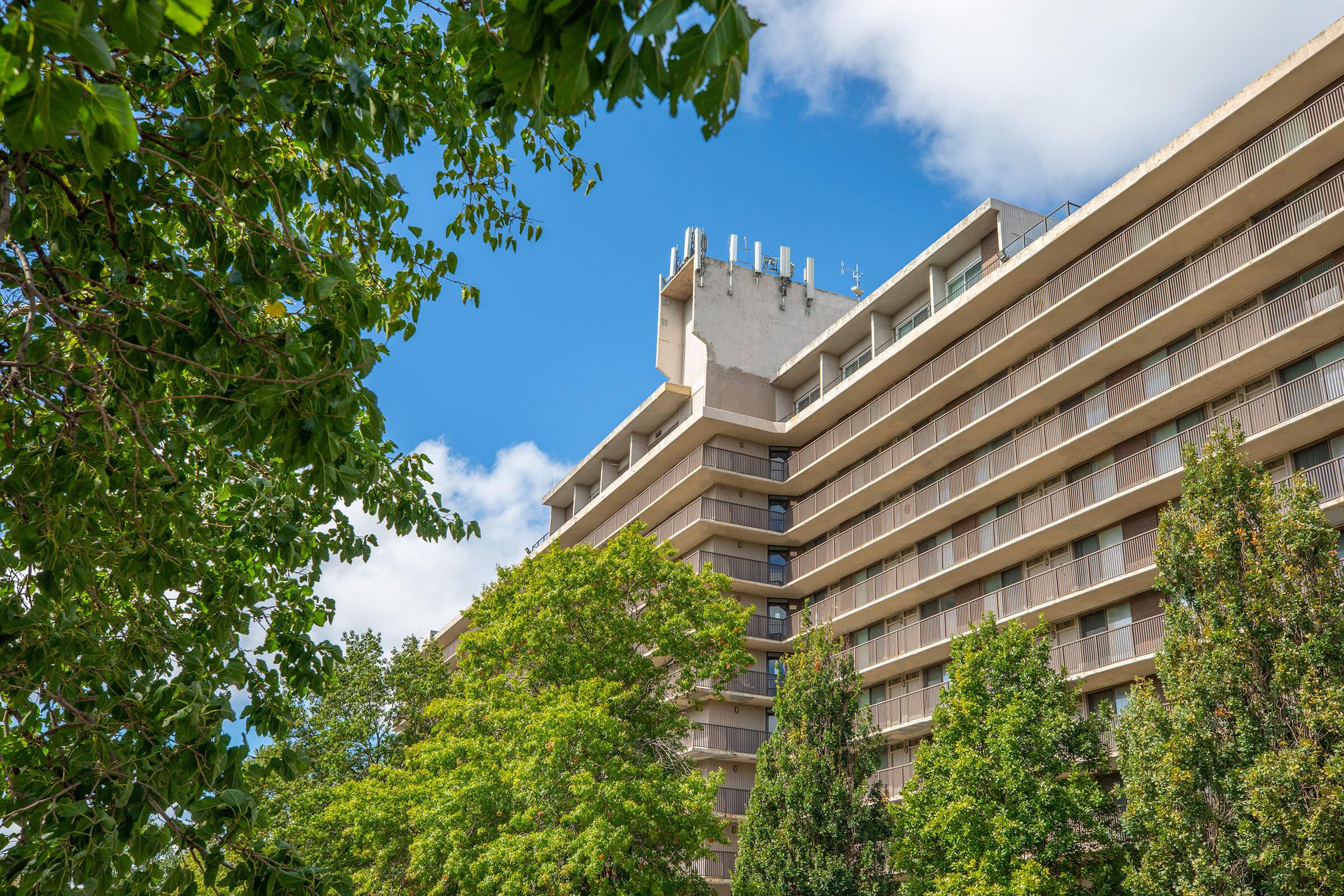 a tree in front of a tall building