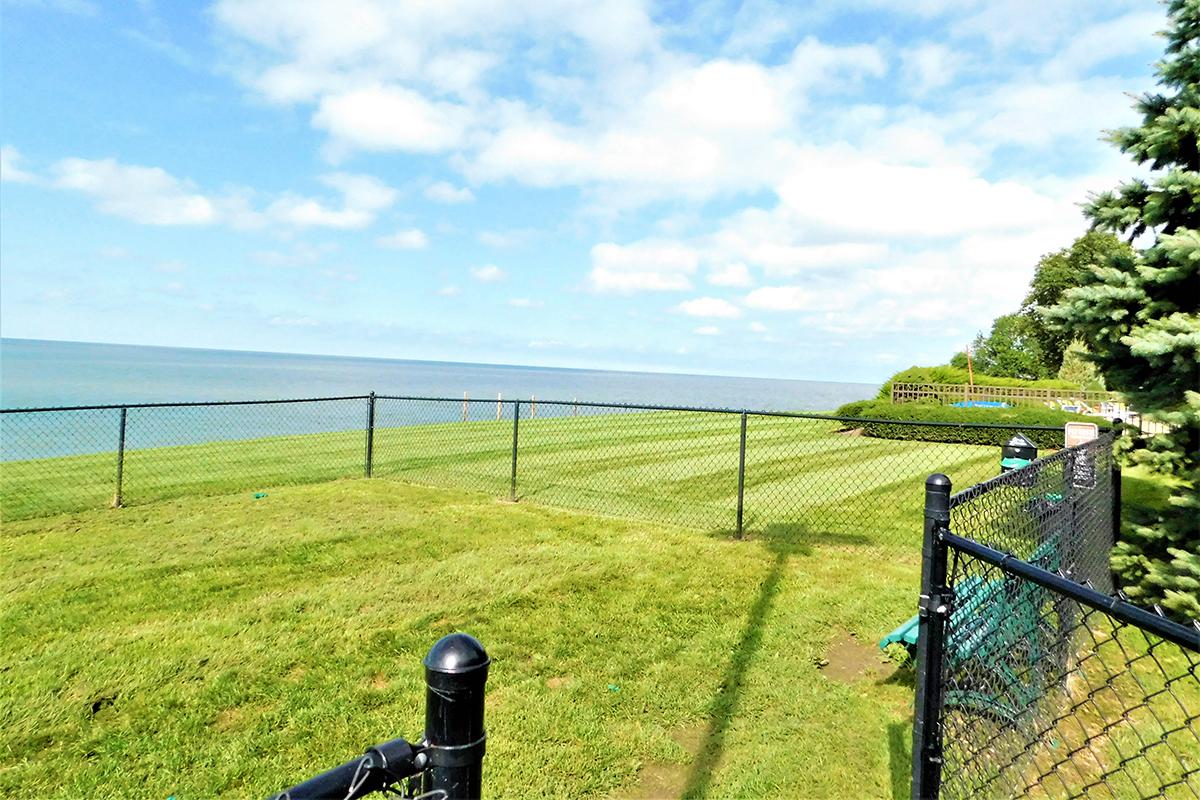 a close up of a fence in a grassy field